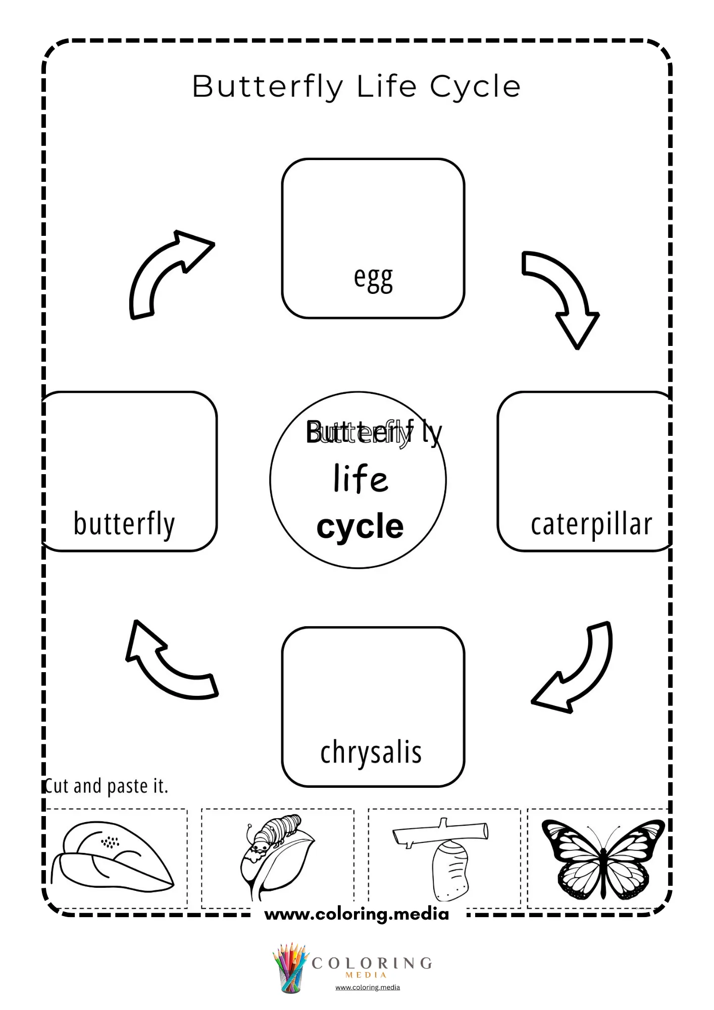 Butterfly life cycle cut and paste