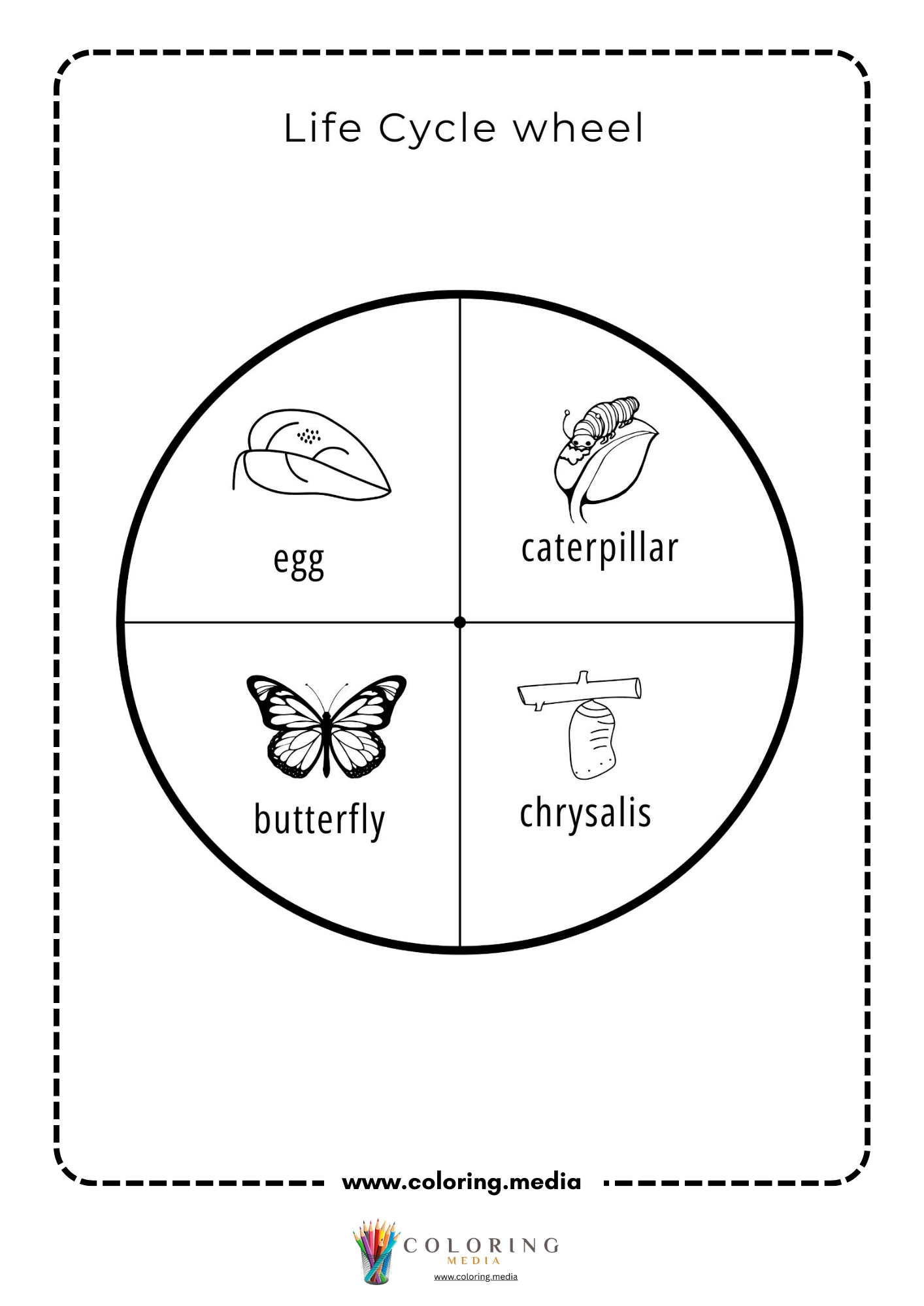 Butterfly life cycle wheel