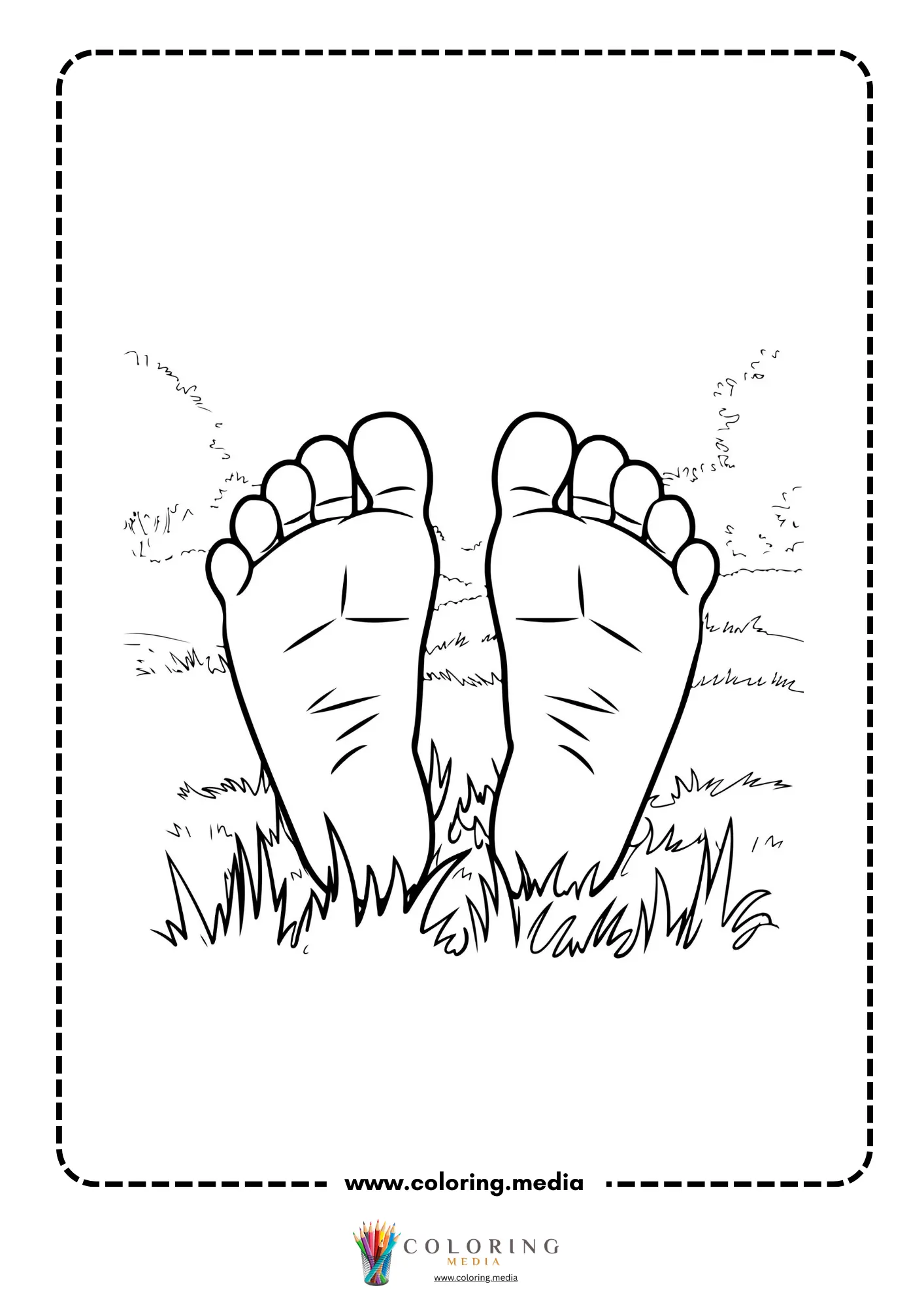 Feet and toes outline