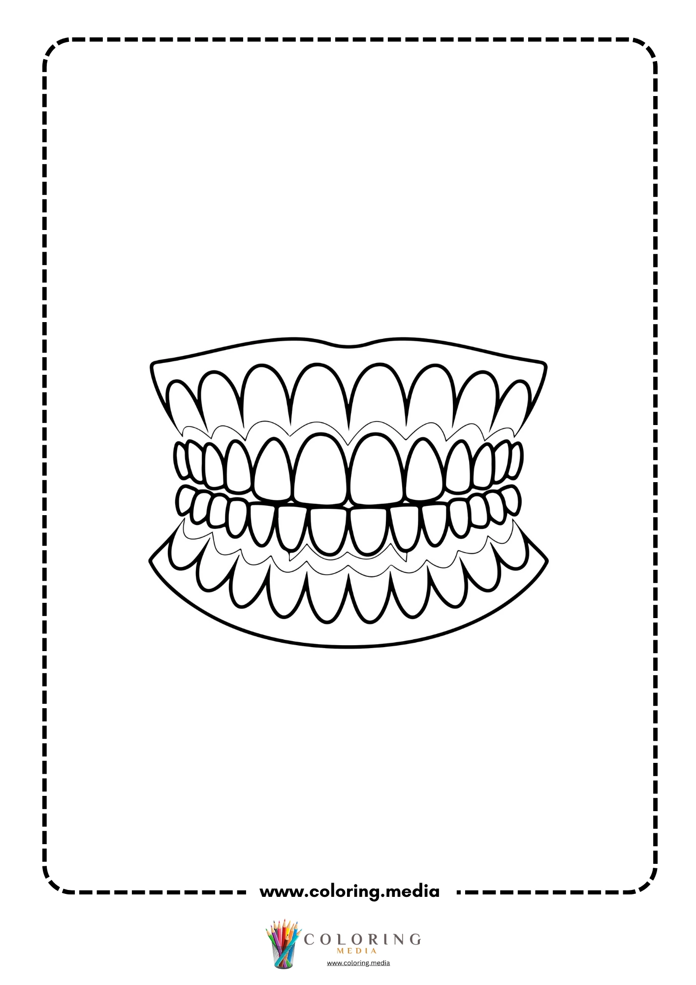 Teeth and gums diagram
