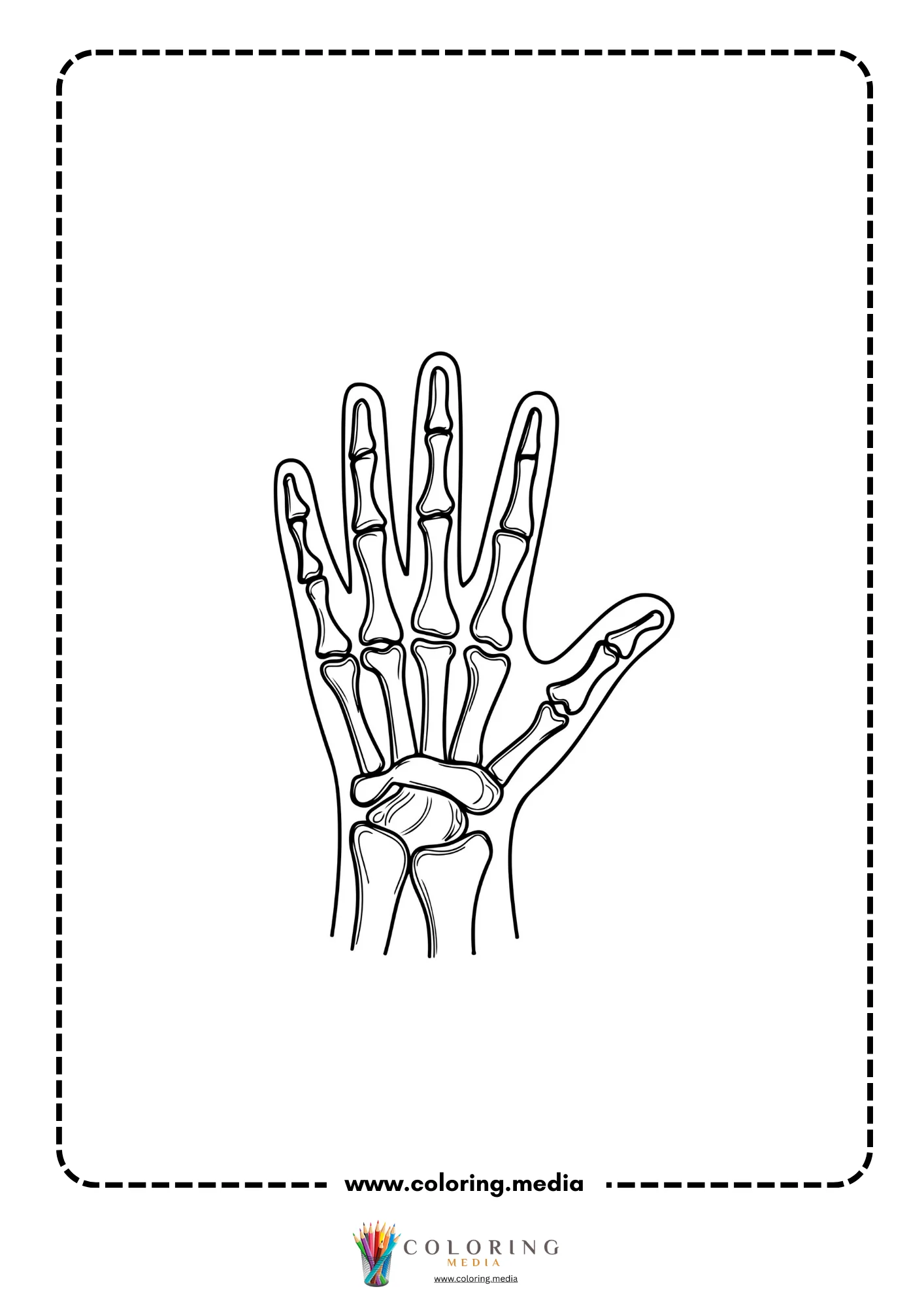Hand bone x ray