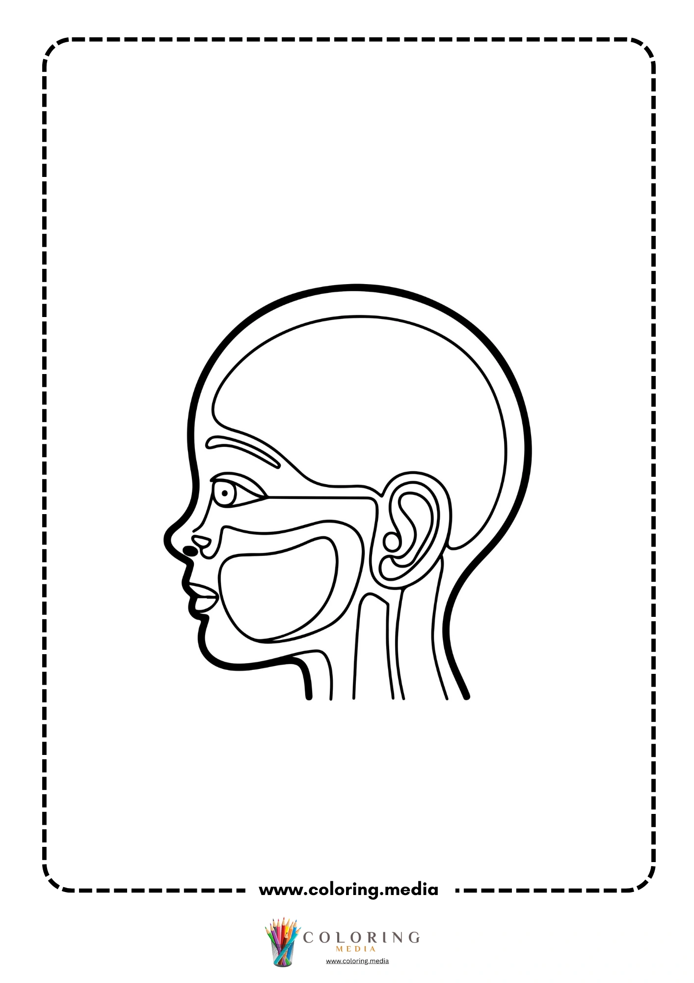 Human head side view