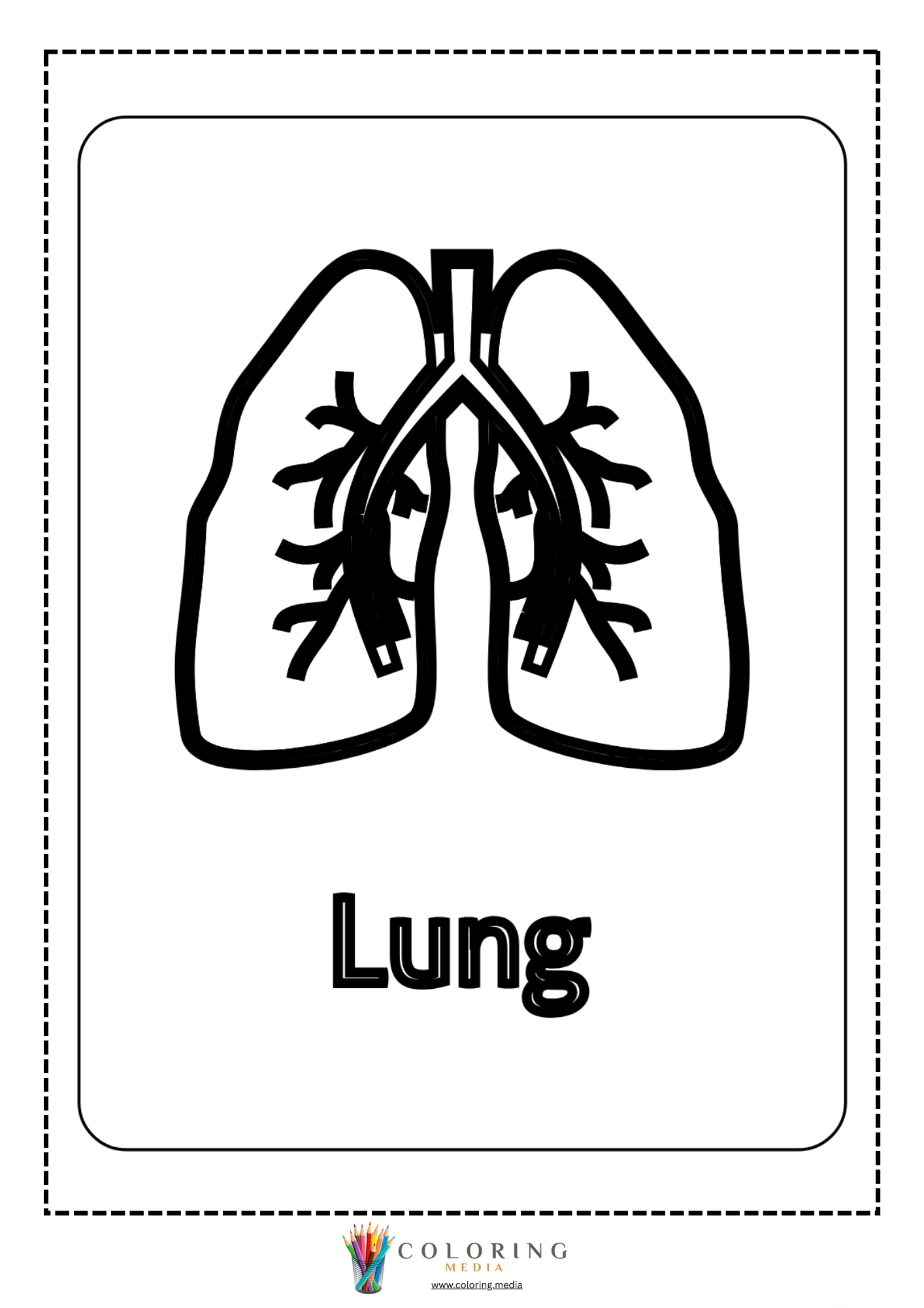 Lung body part outline