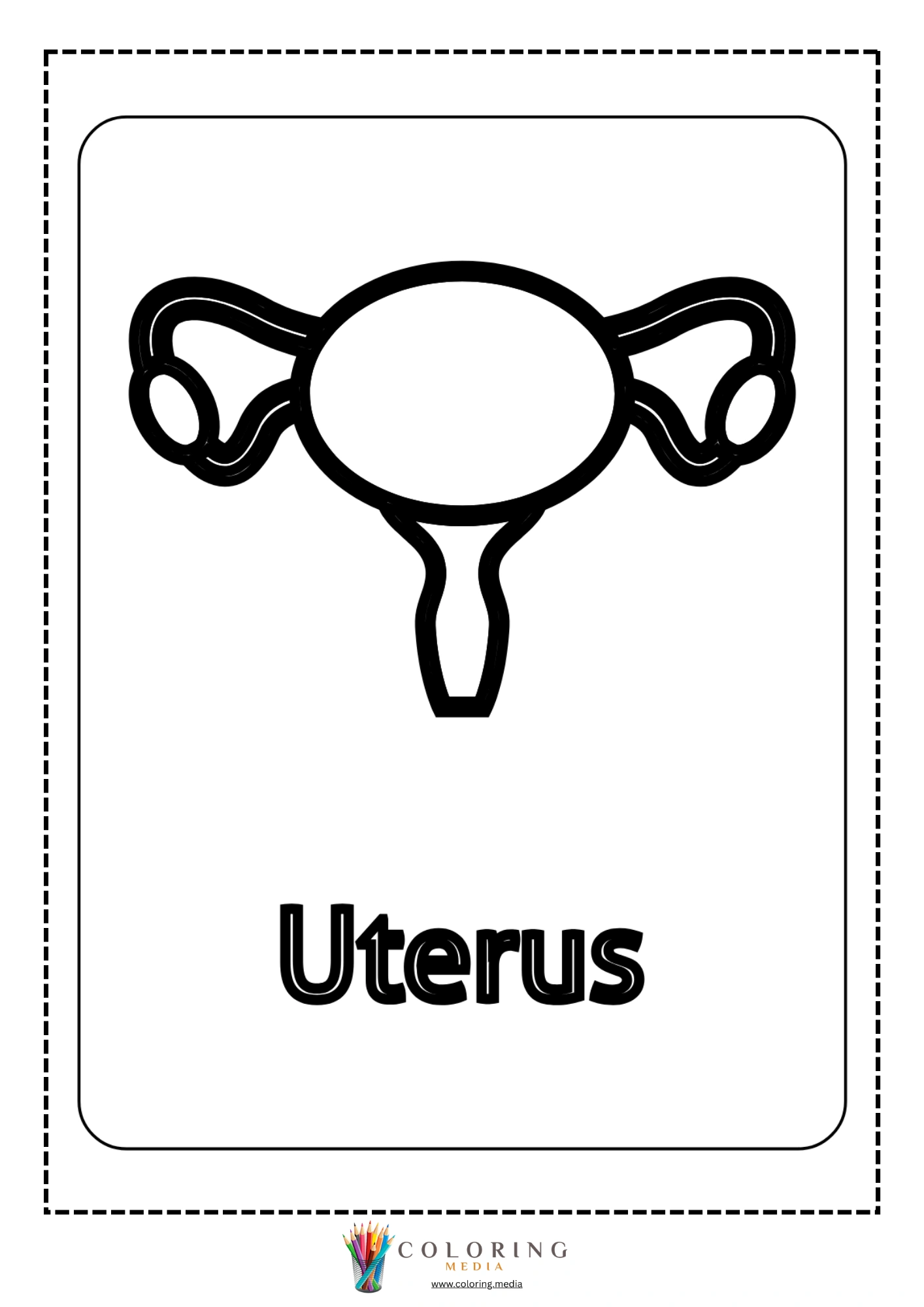 Uterus body part outline