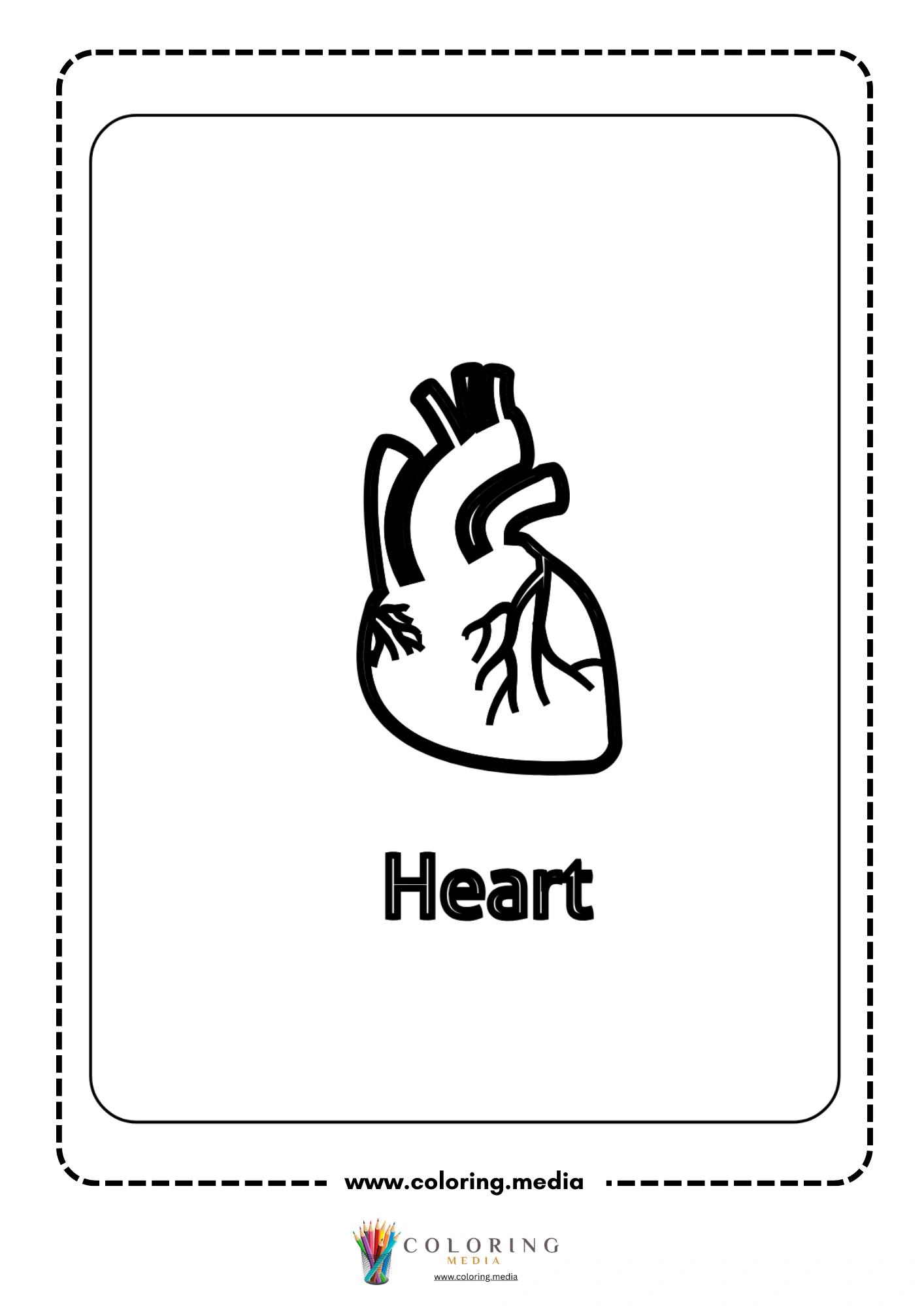 Heart body part outline