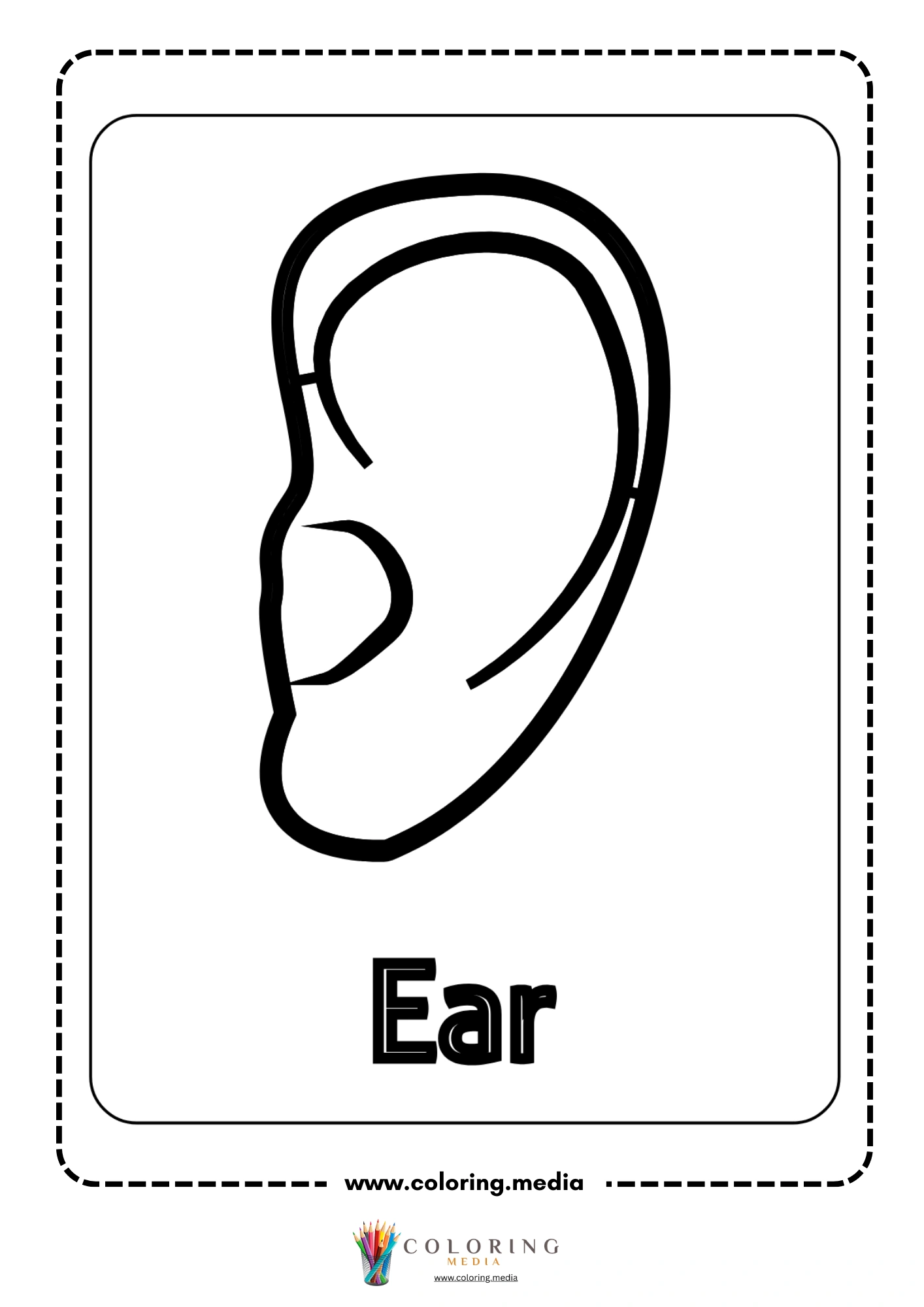 Ear body part outline