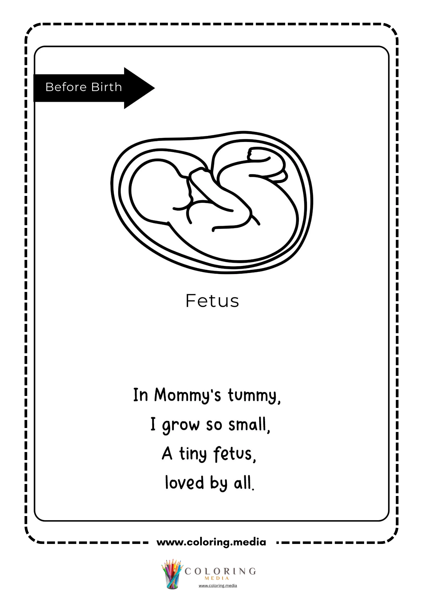 Fetus stage with poem
