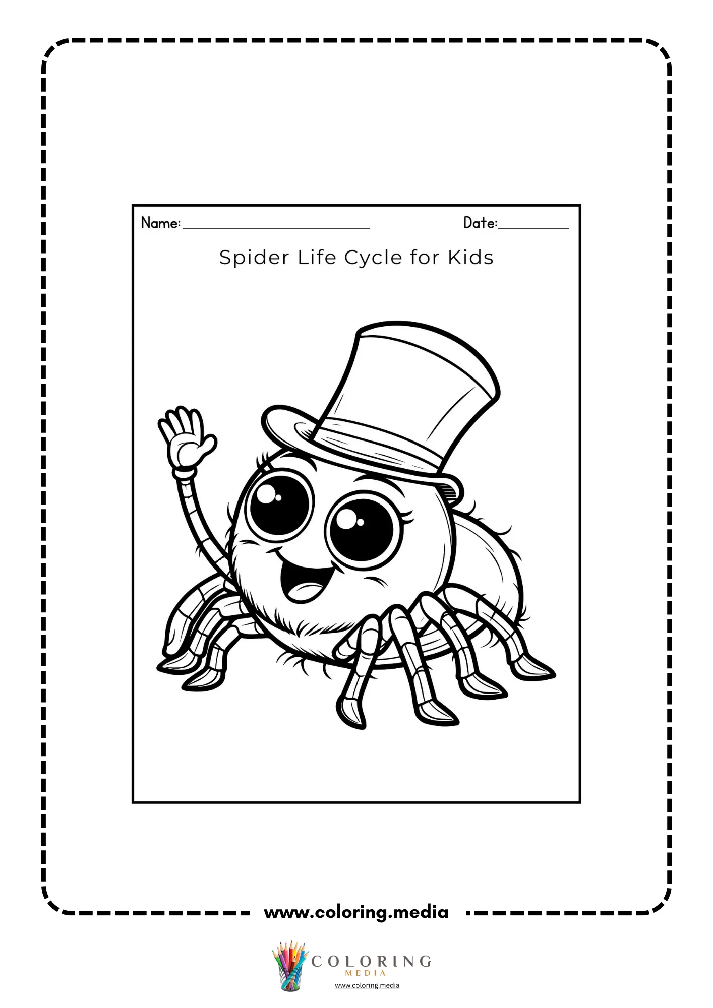 Spider life cycle for kids cover