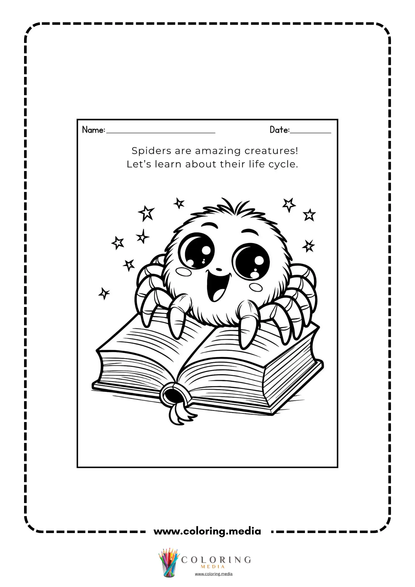 Spider life cycle introduction page