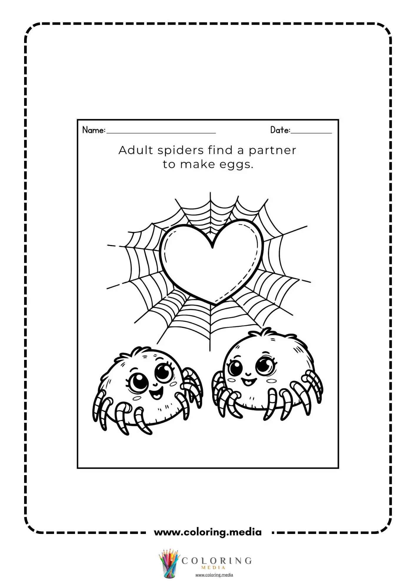 Adult spiders make eggs