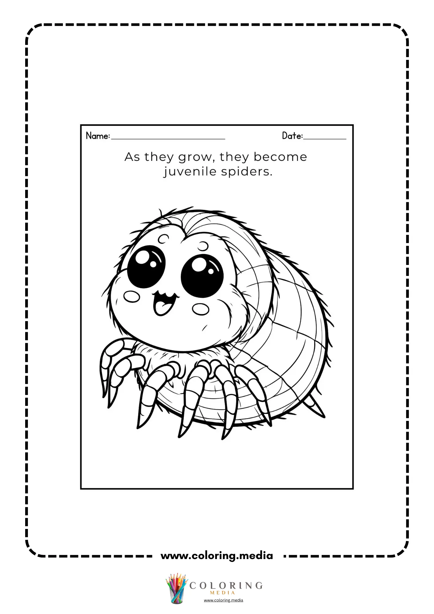 Juvenile spider stage
