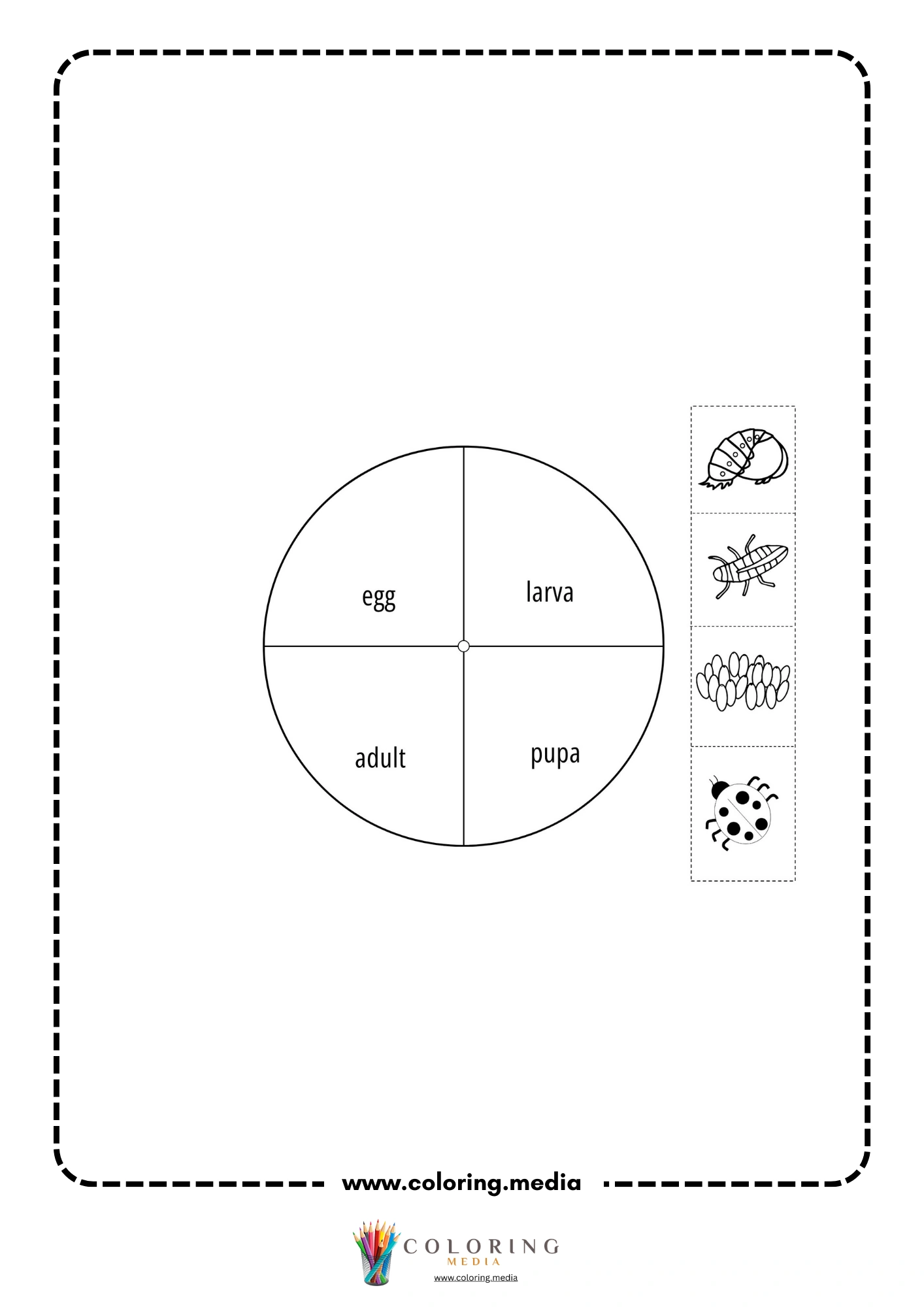 Ladybug life cycle wheel with cutouts