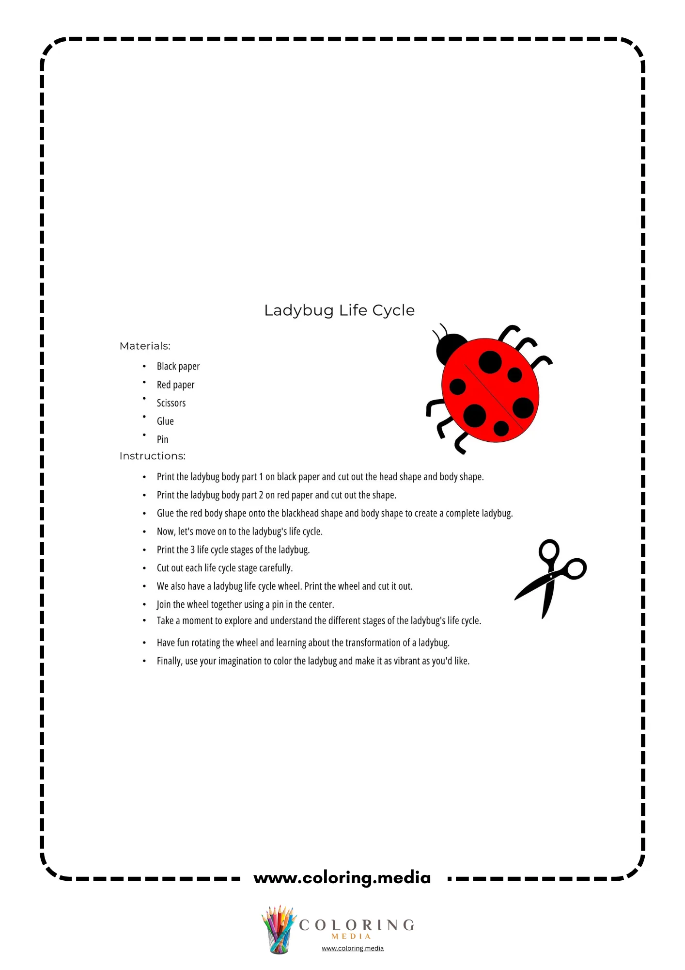 Ladybug life cycle craft instructions