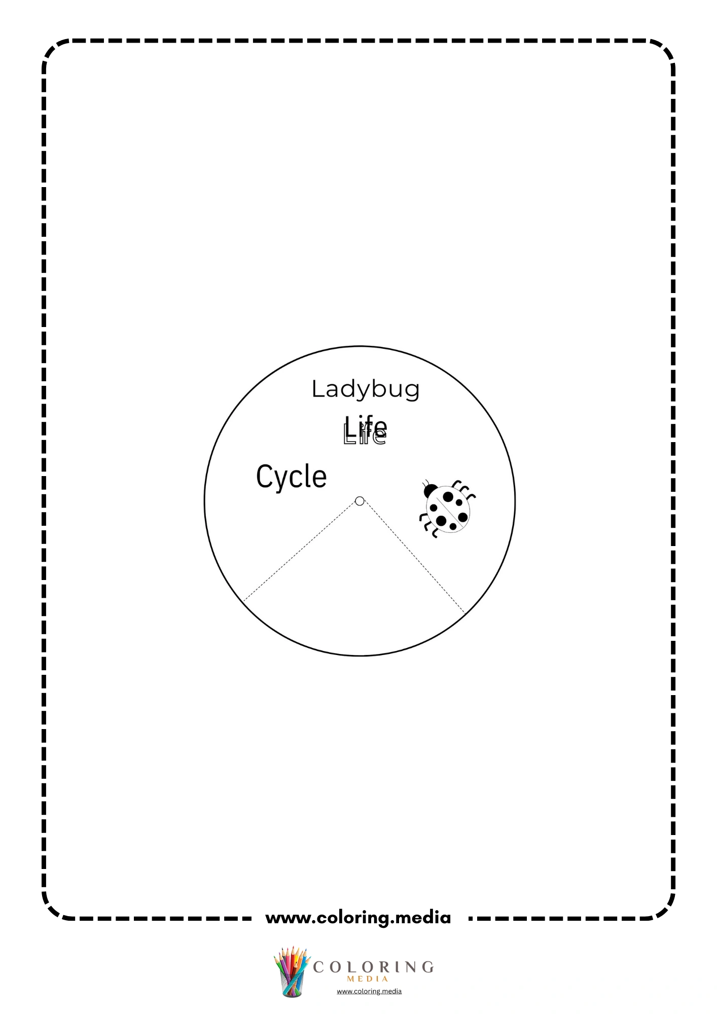 Ladybug life cycle cover
