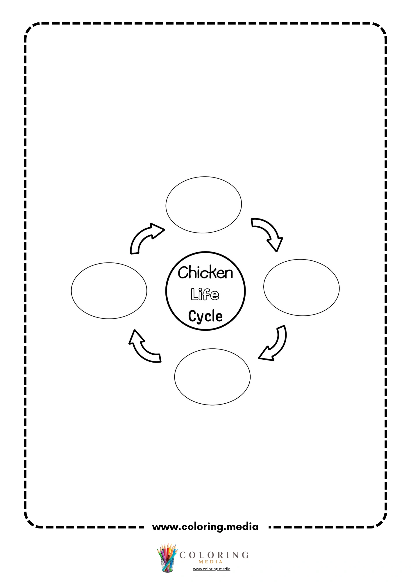 Four-step chicken life cycle diagram