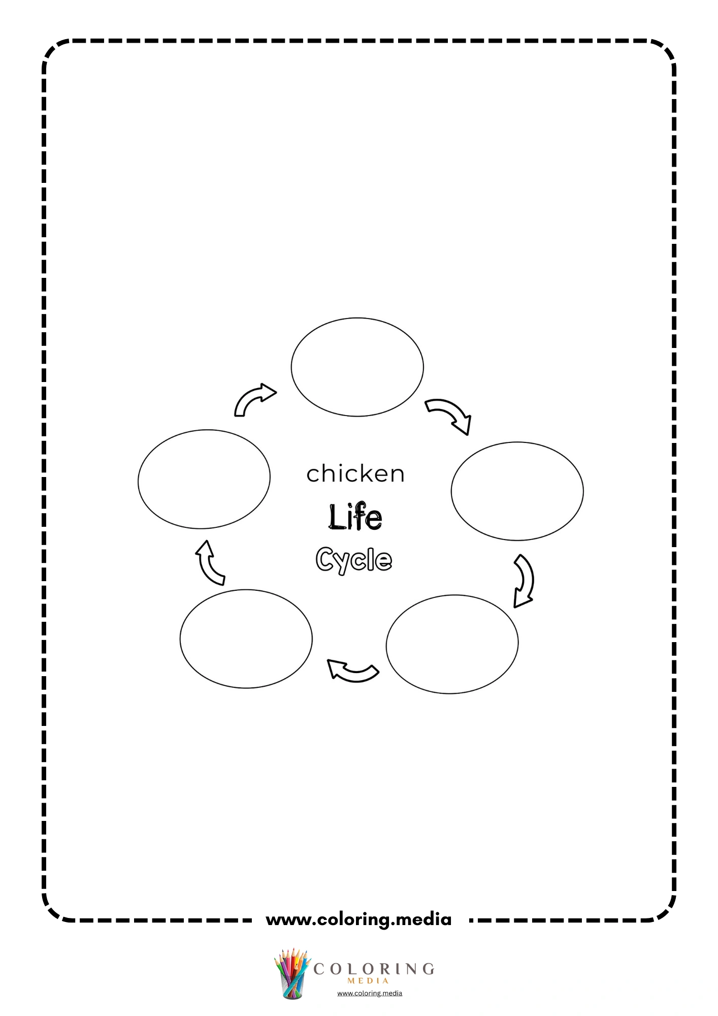 Five-step chicken life cycle diagram