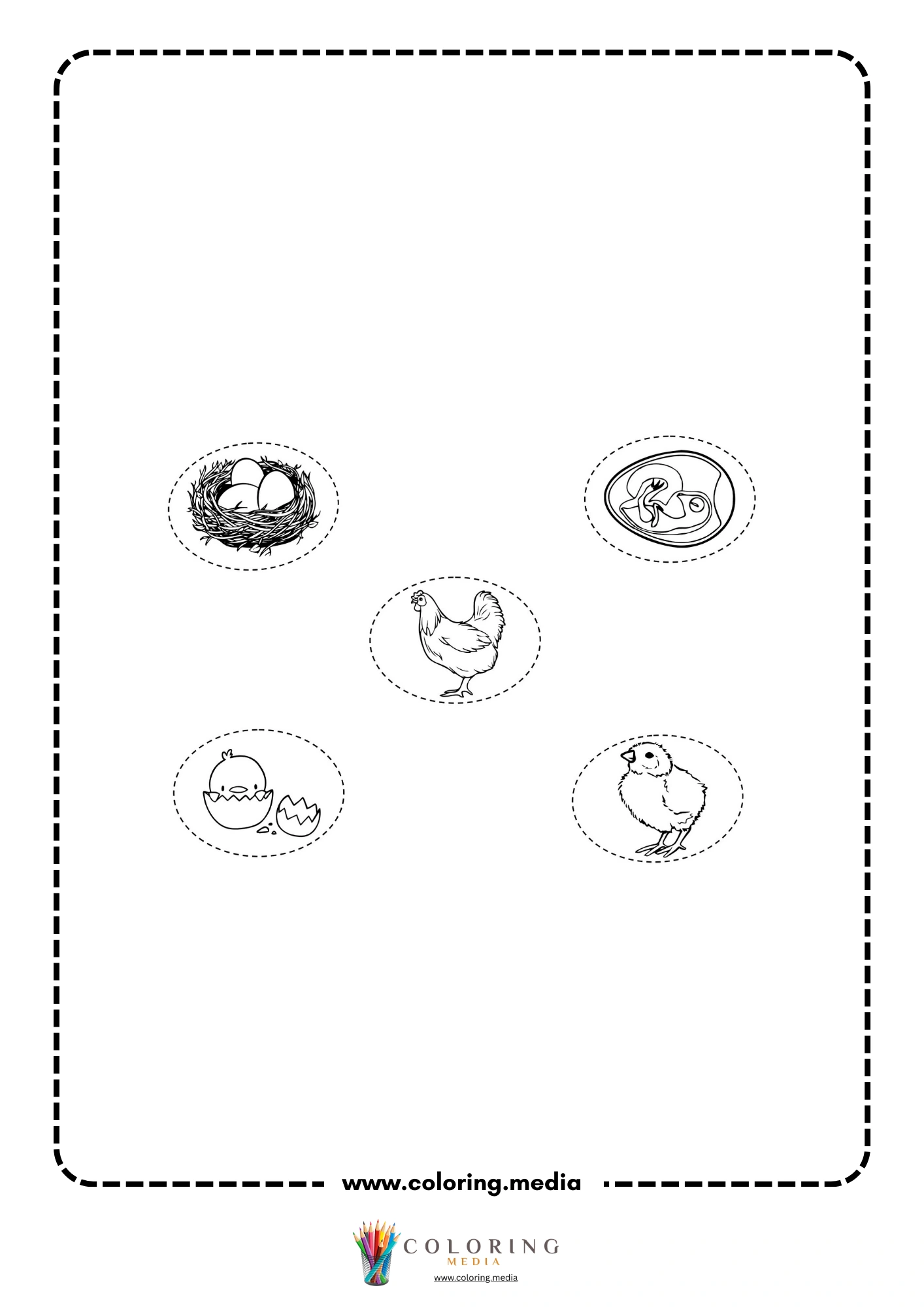 Egg, embryo, hen, hatching chick, and chick stages