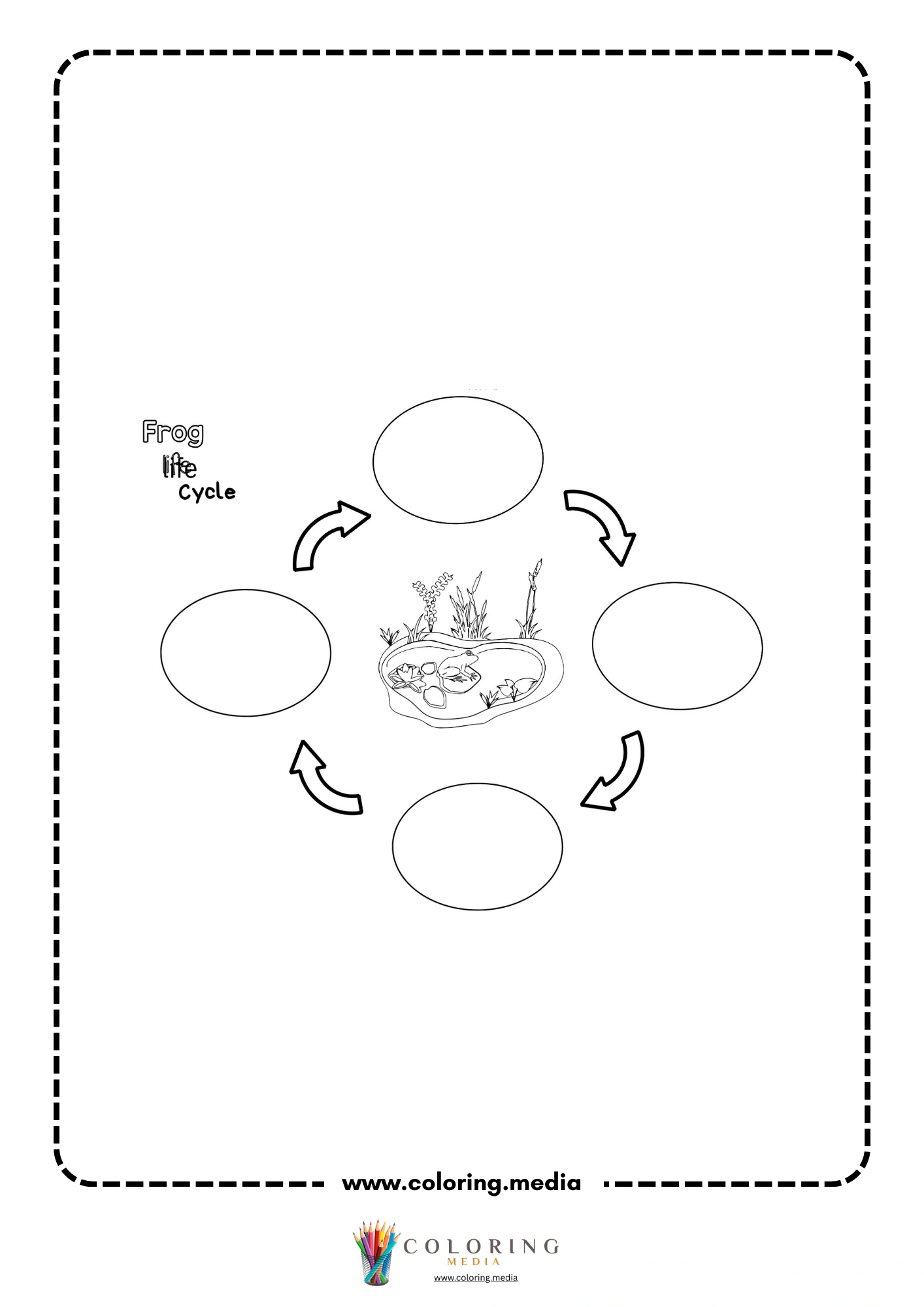 Four-step frog life cycle diagram