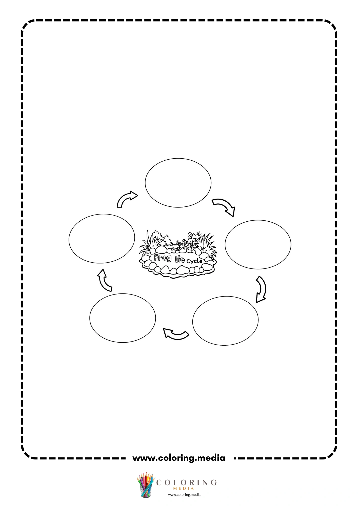 Five-step frog life cycle diagram