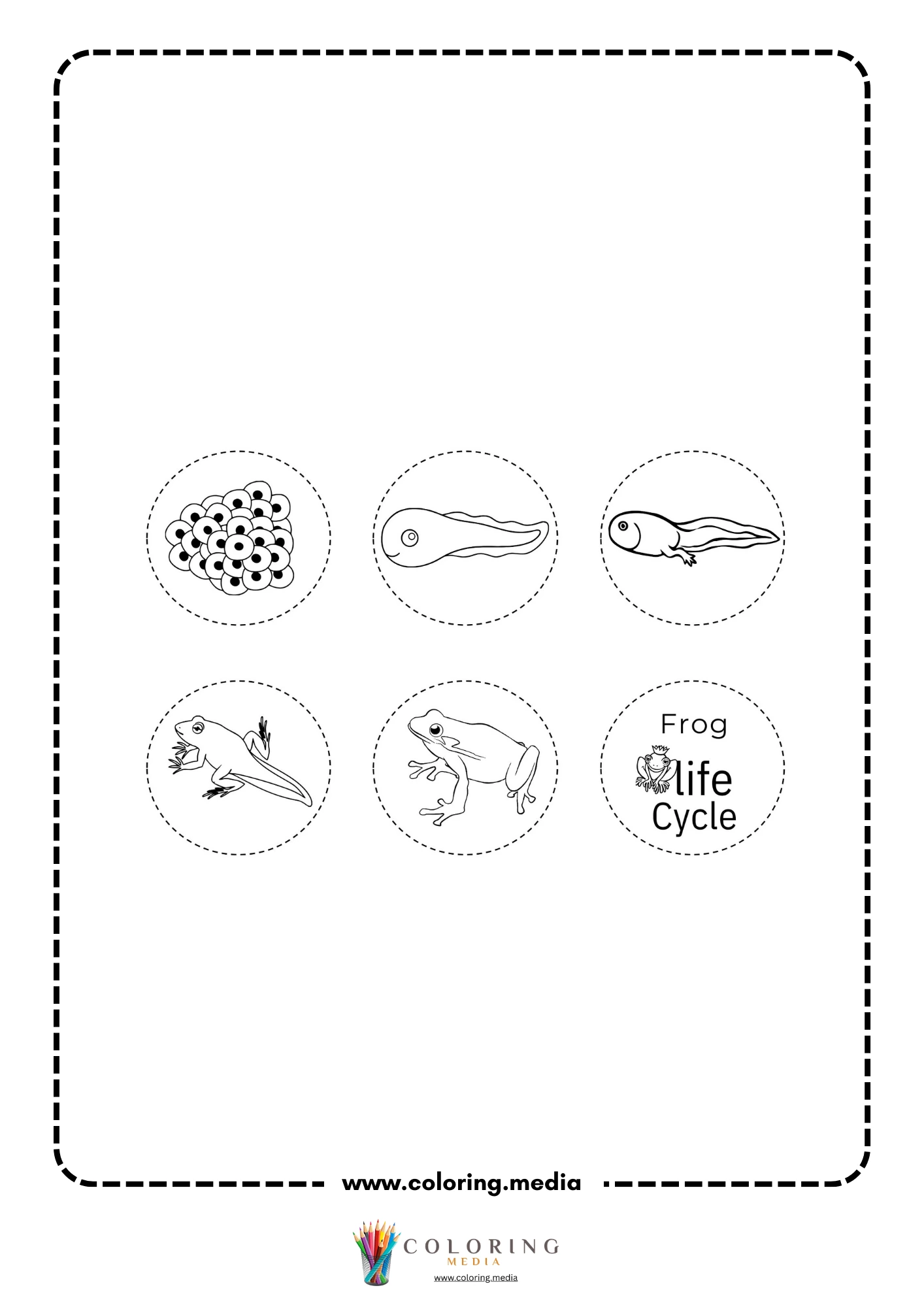 Frog life cycle cutouts with five stages