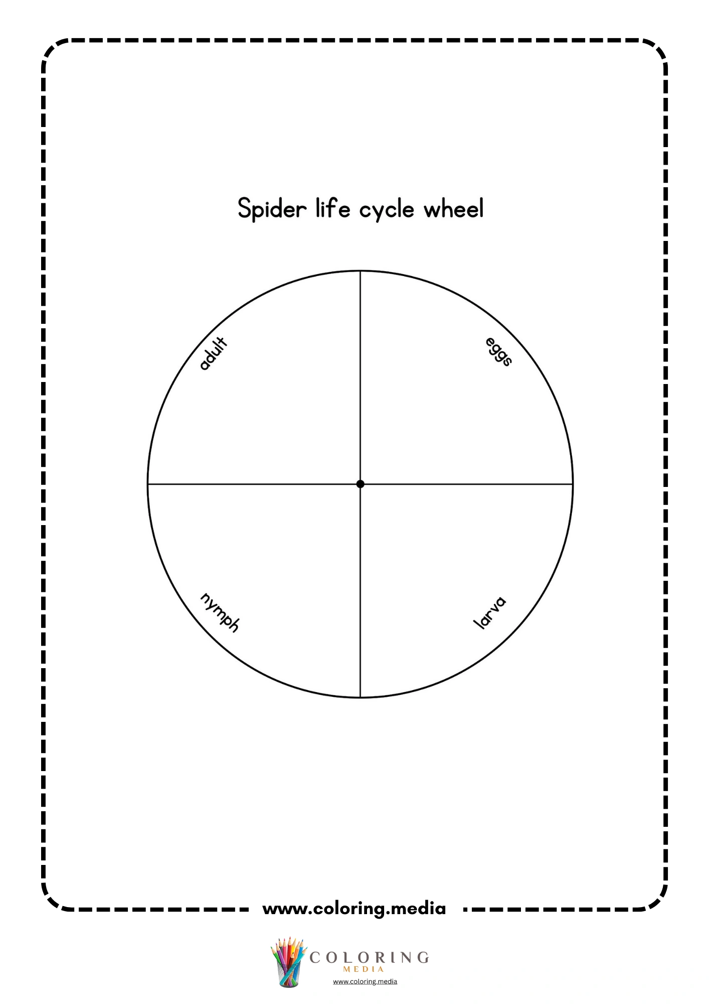 Spider life cycle wheel