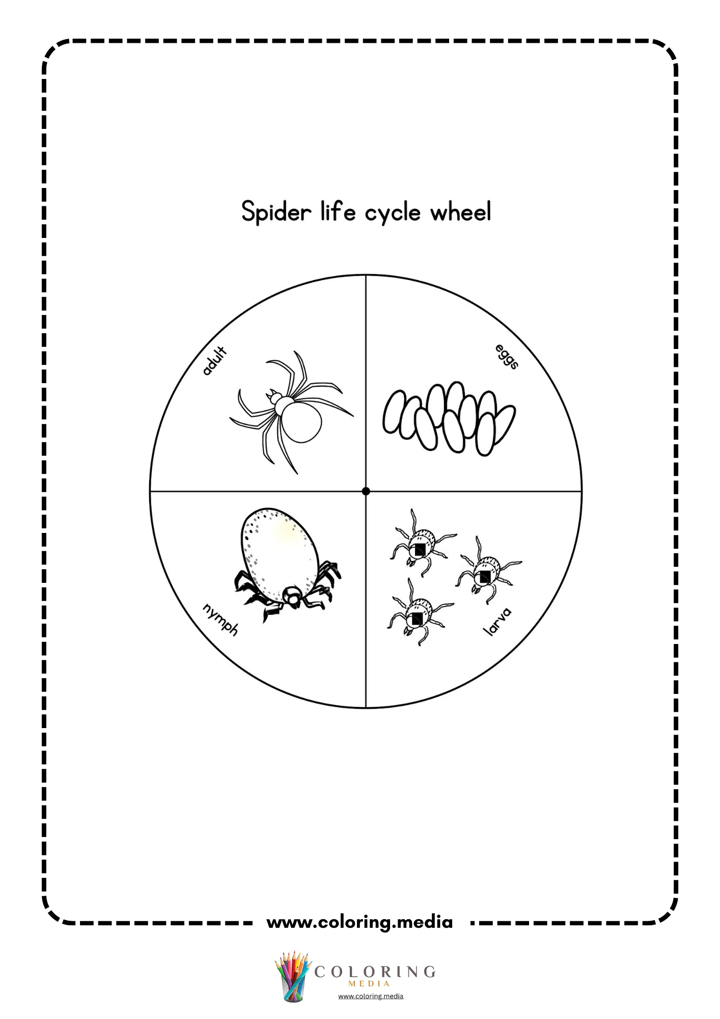 Blank spider circle craft page