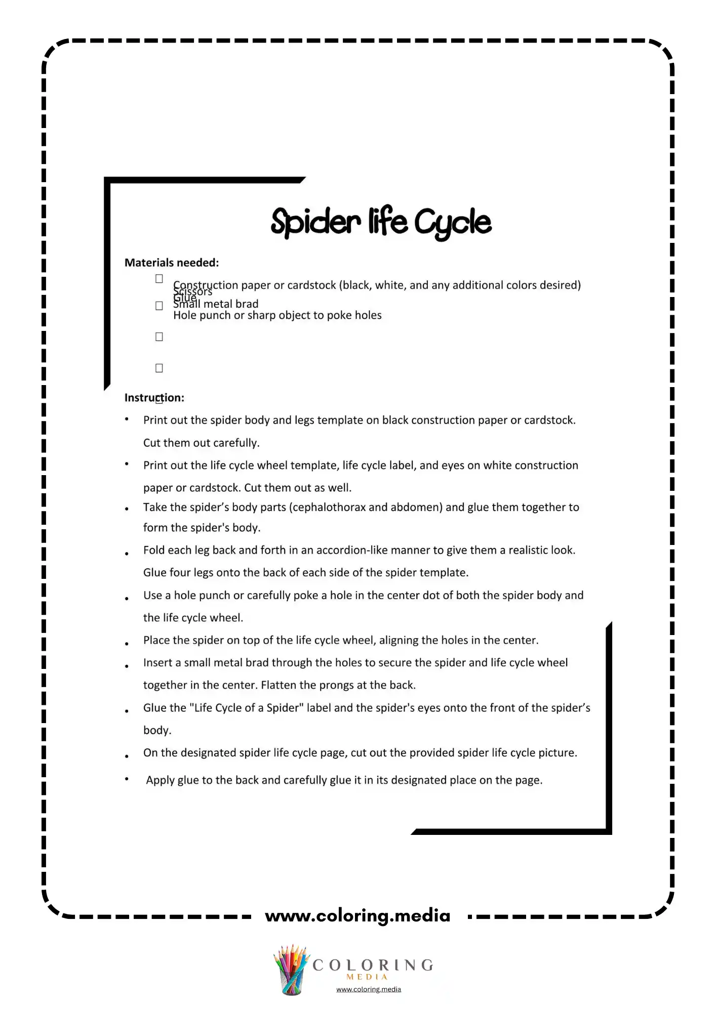 Spider life cycle wheel with pictures