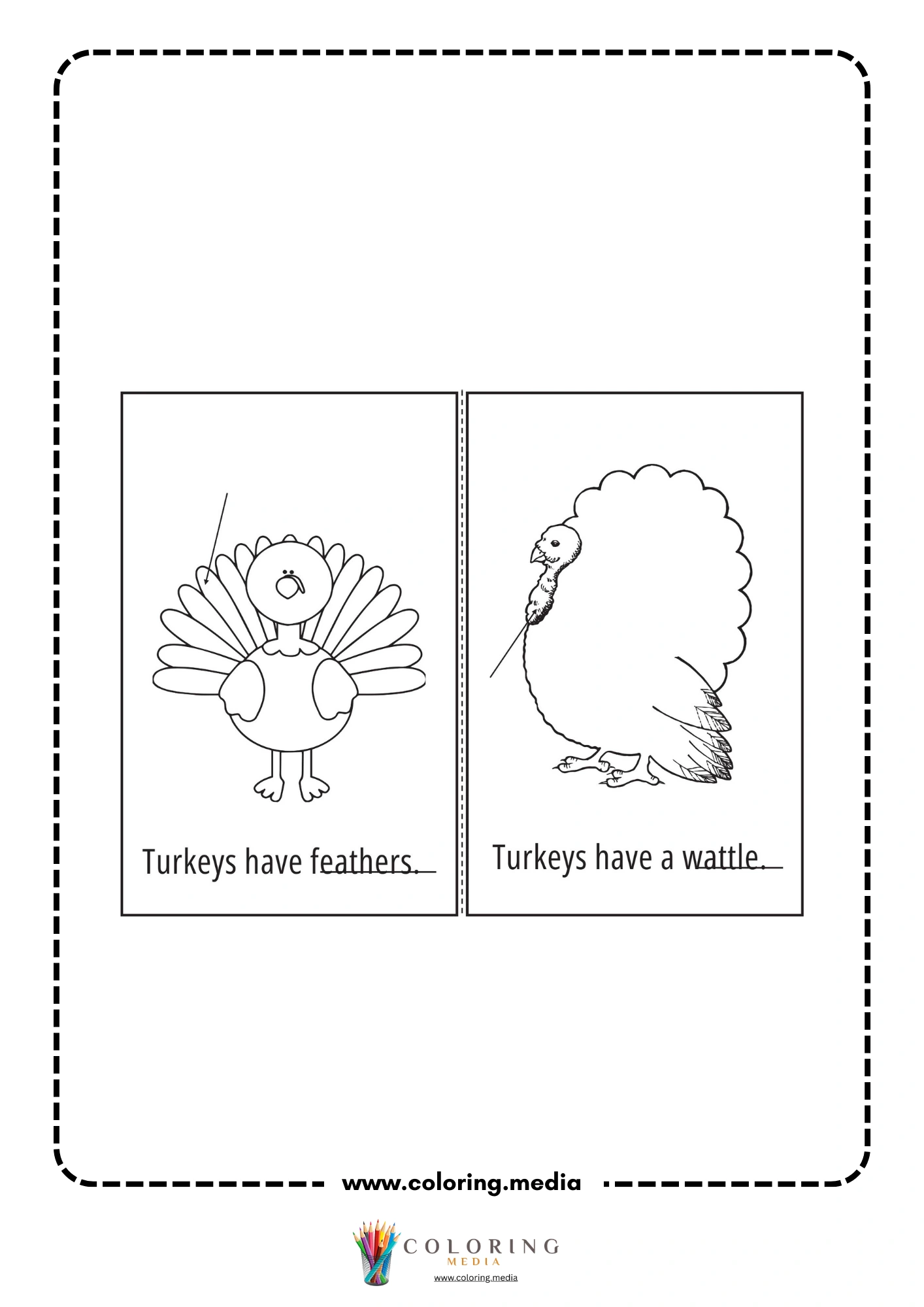Turkeys have feathers worksheet