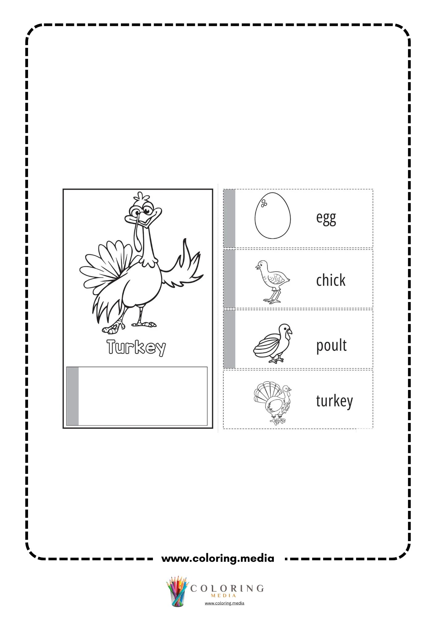 Turkey anchor chart