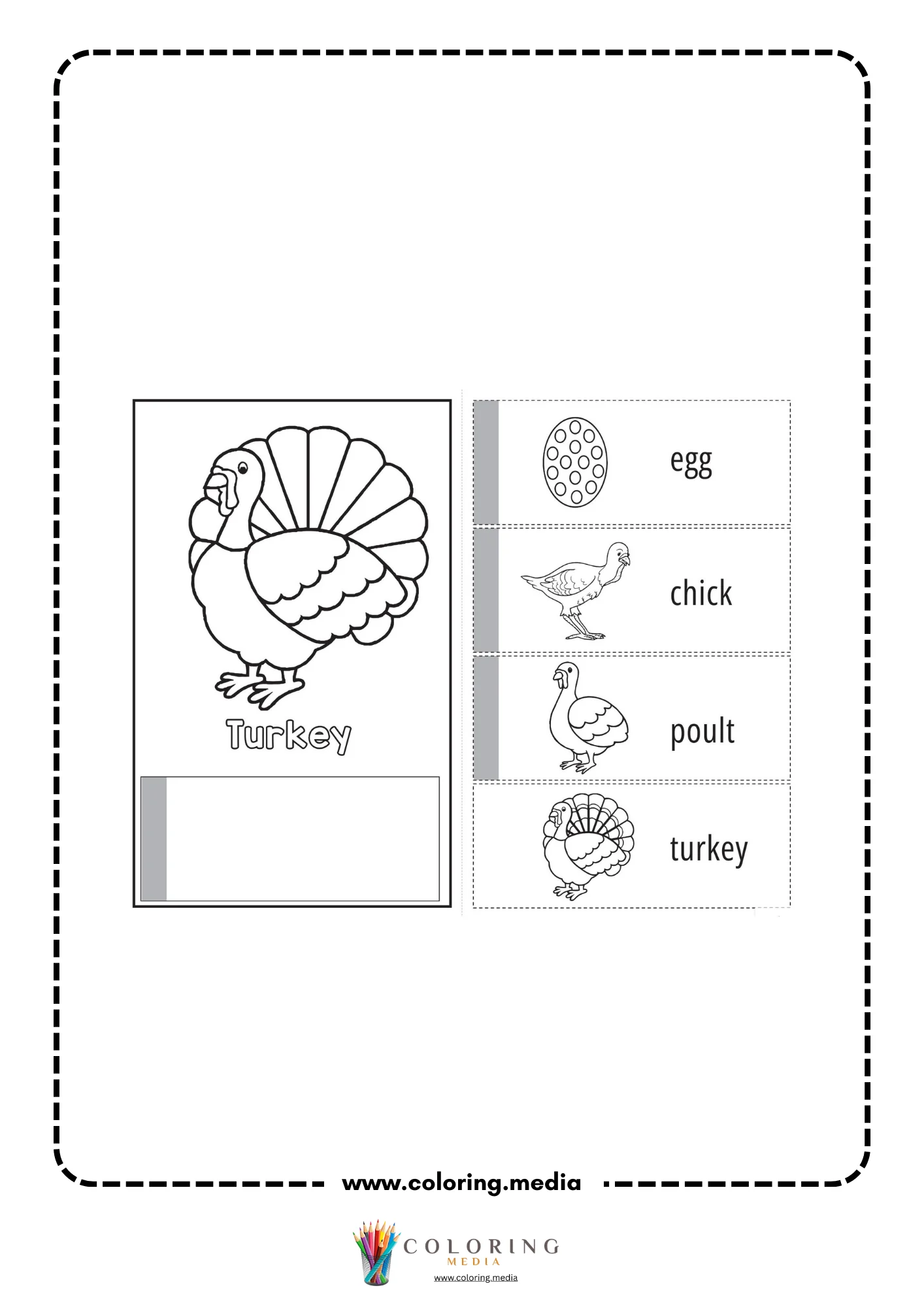 Turkey life cycle wheel template