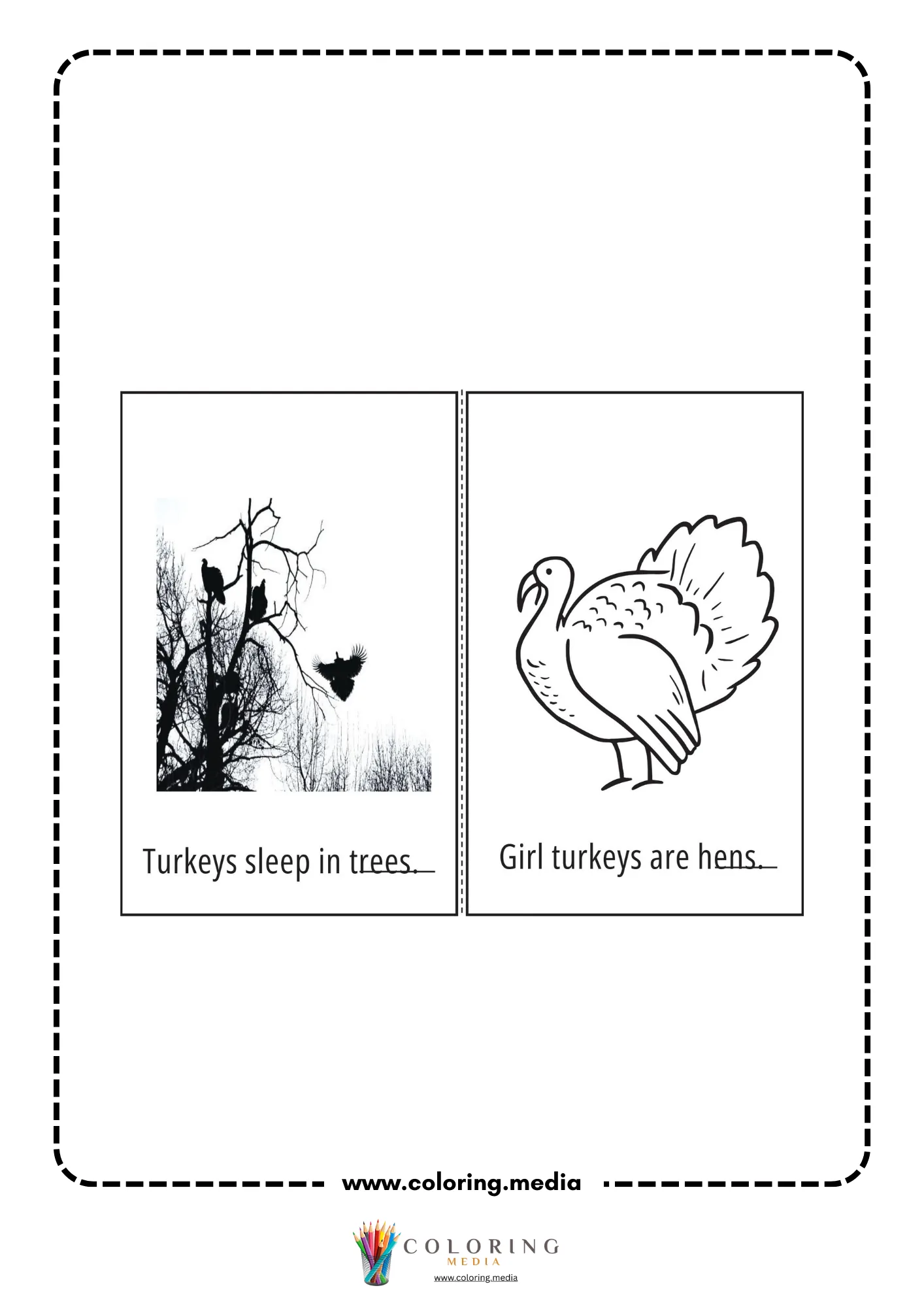 Turkeys sleep in trees worksheet