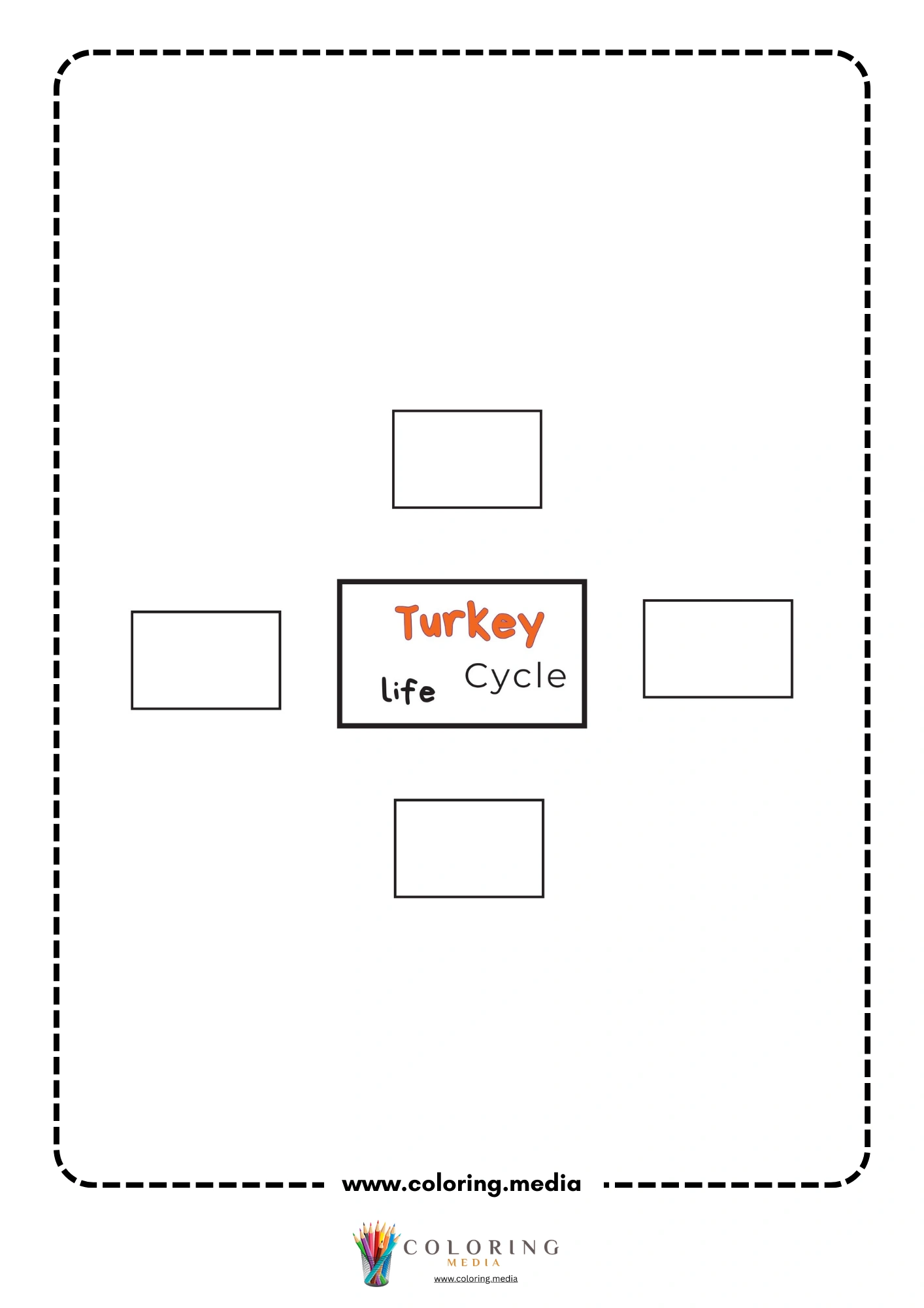 Turkey life cycle cover page