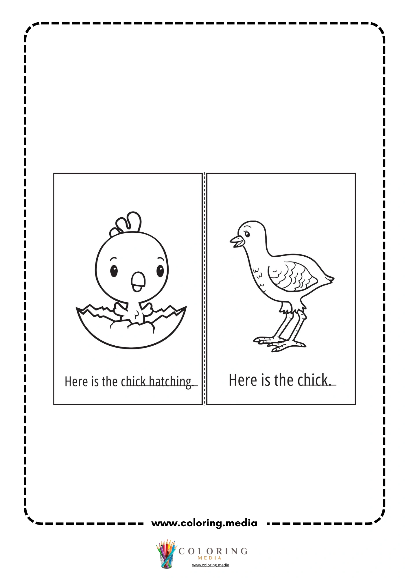 Here is the chick hatching worksheet