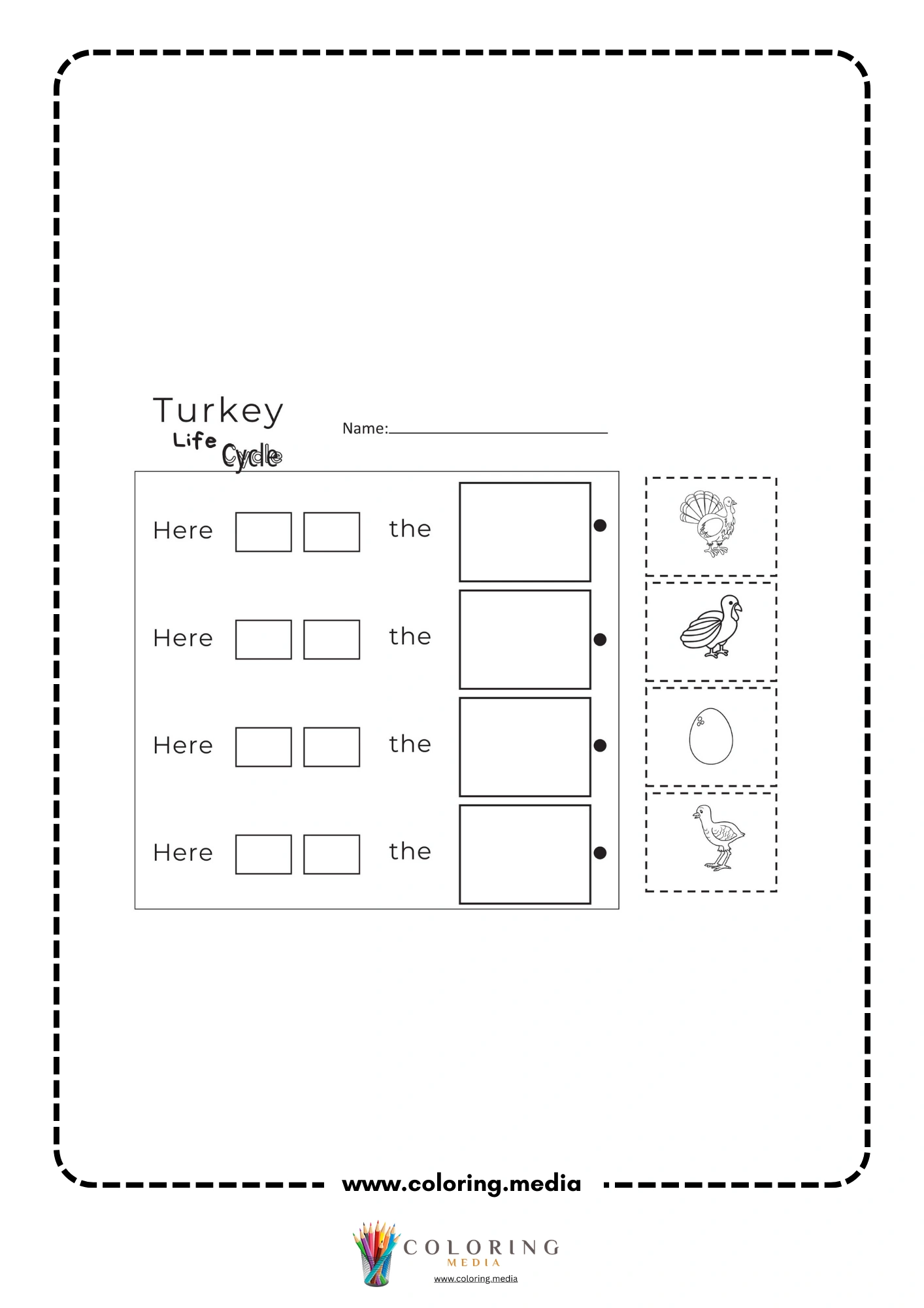 Turkey life cycle cut and paste