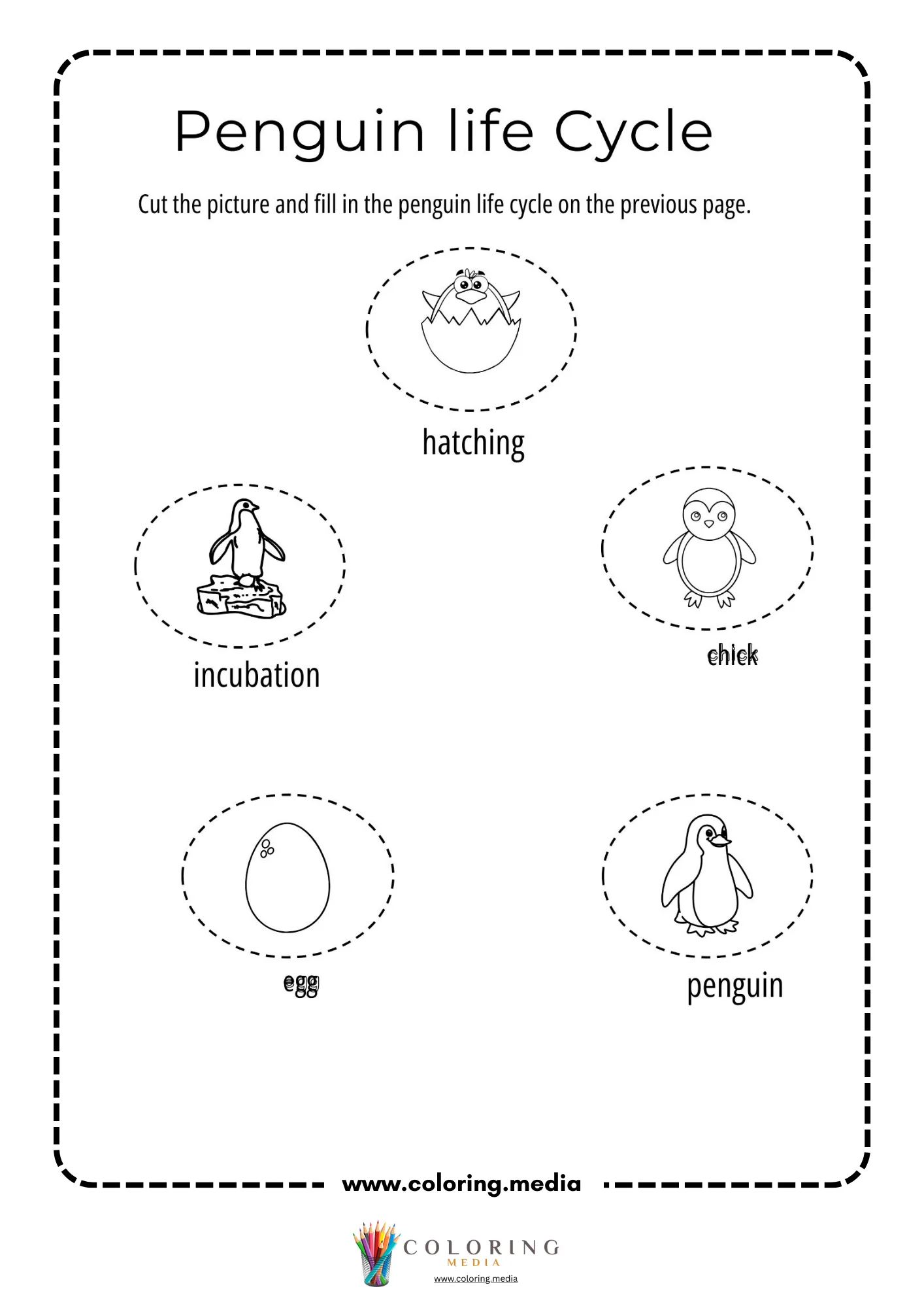 Penguin life cycle cutouts