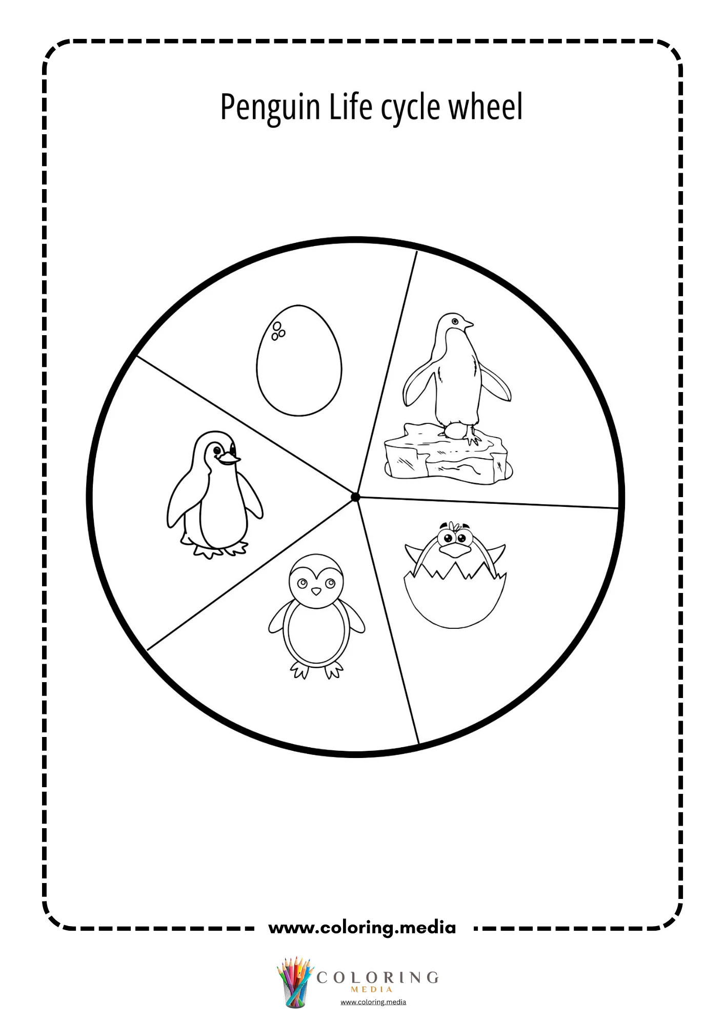 Penguin life cycle wheel