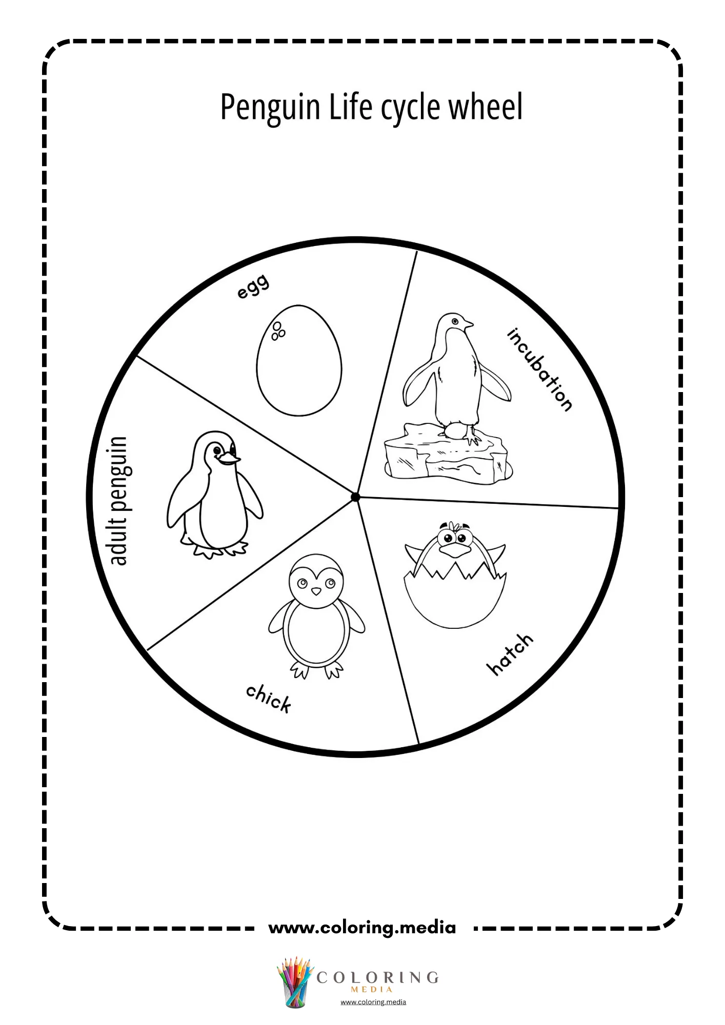 Penguin wheel body shape