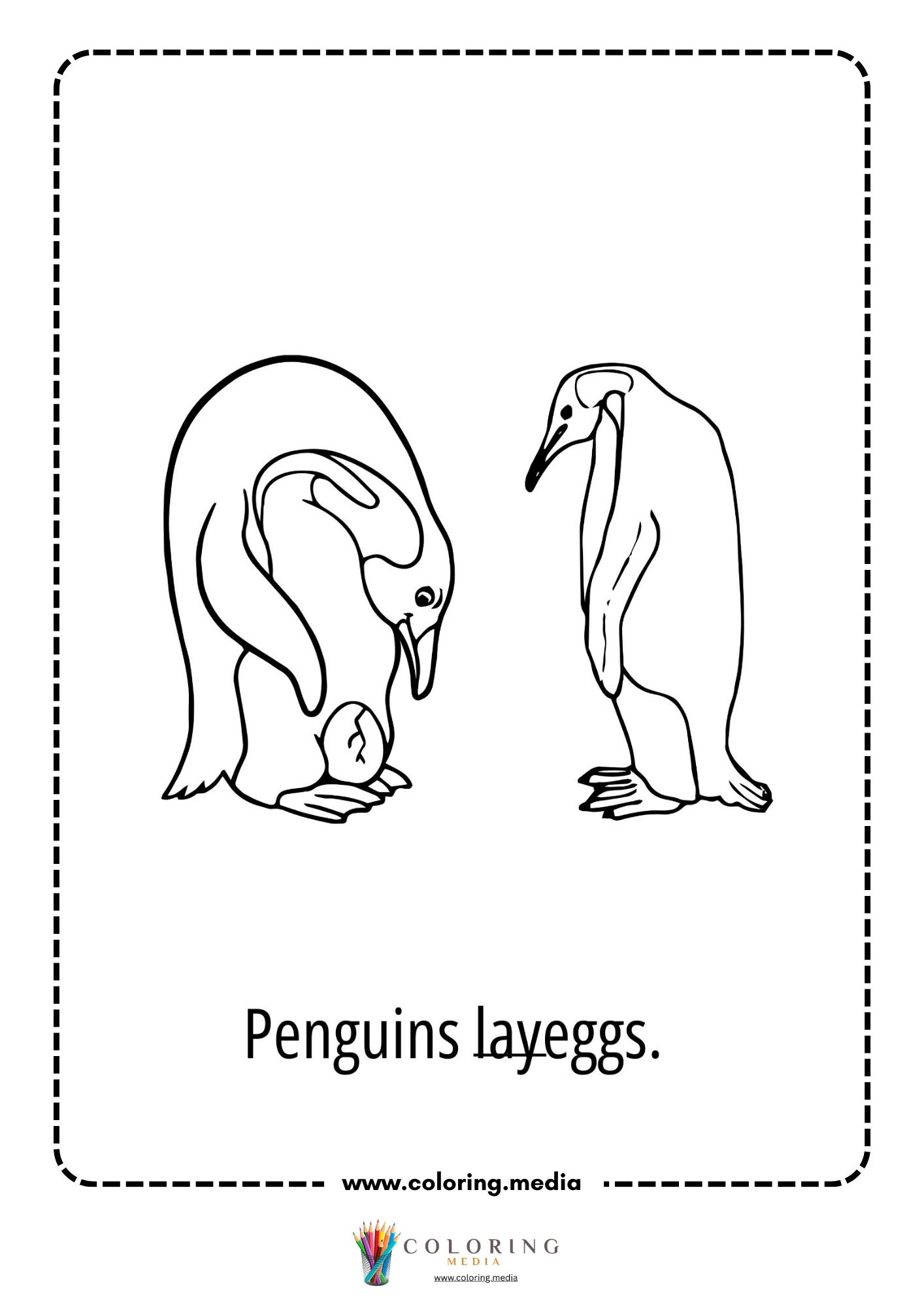 Penguin life cycle with stages