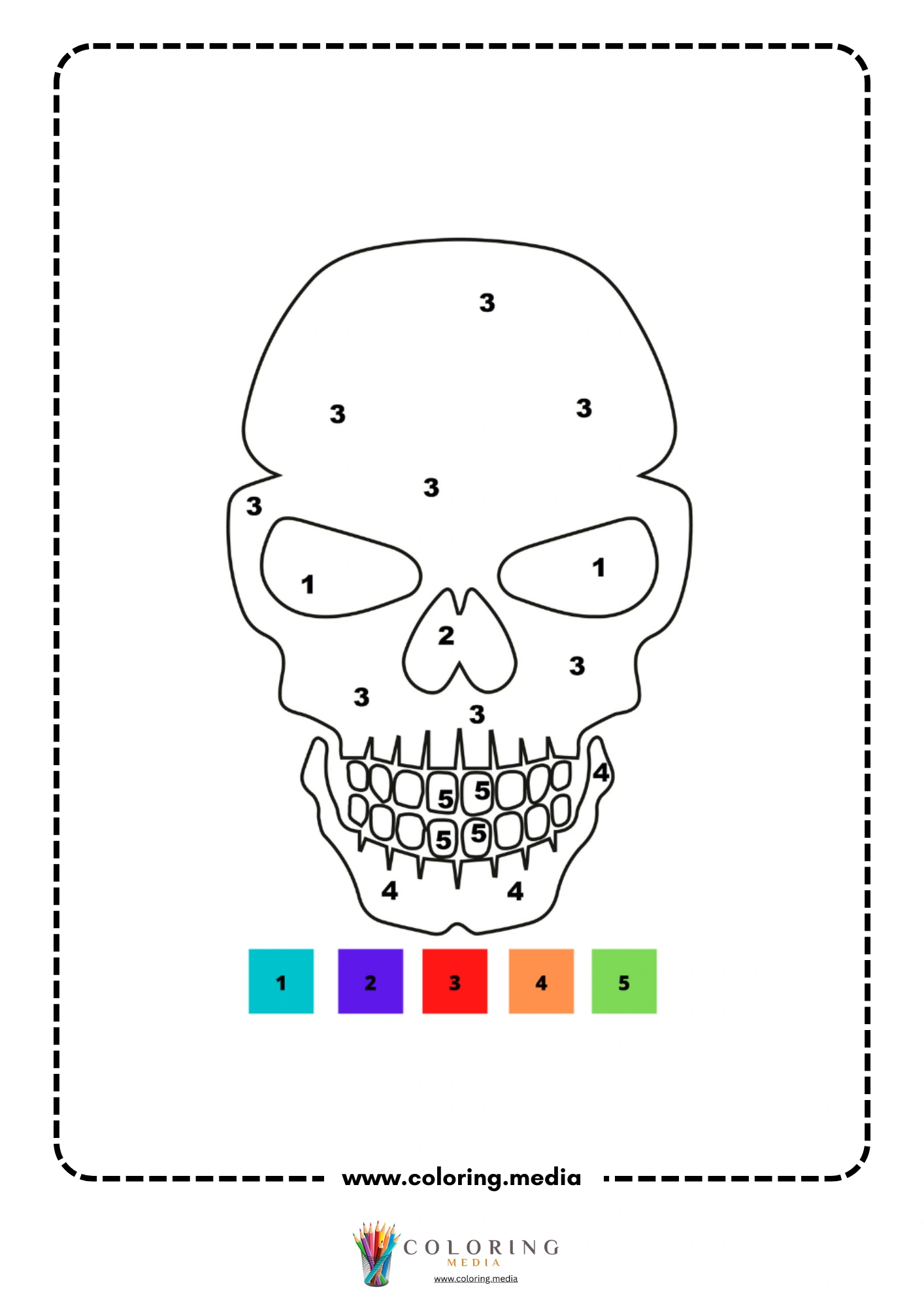 Color by number detailed human skull with rows of teeth