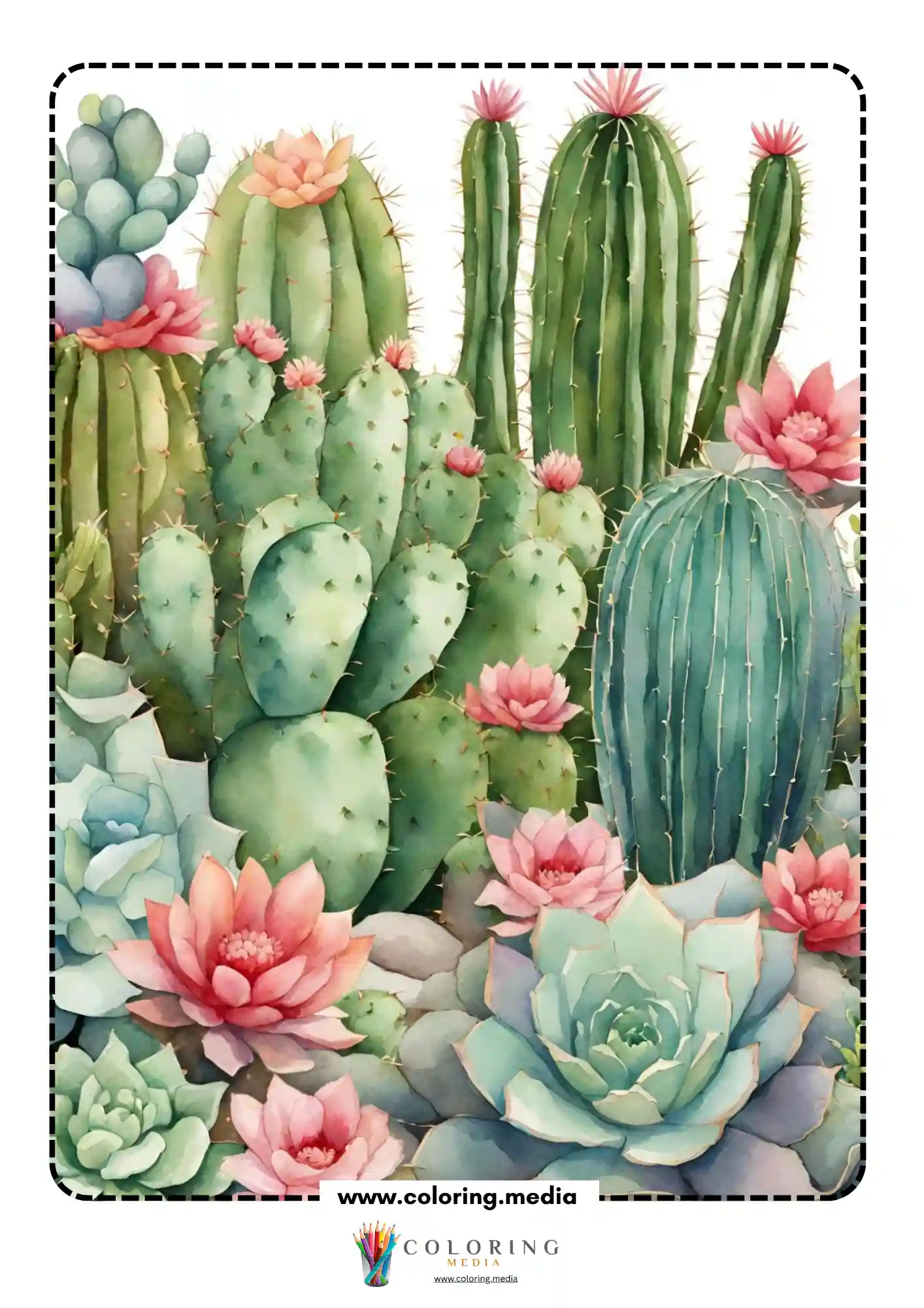 Reverse cactus coloring page with soft green succulents and stones