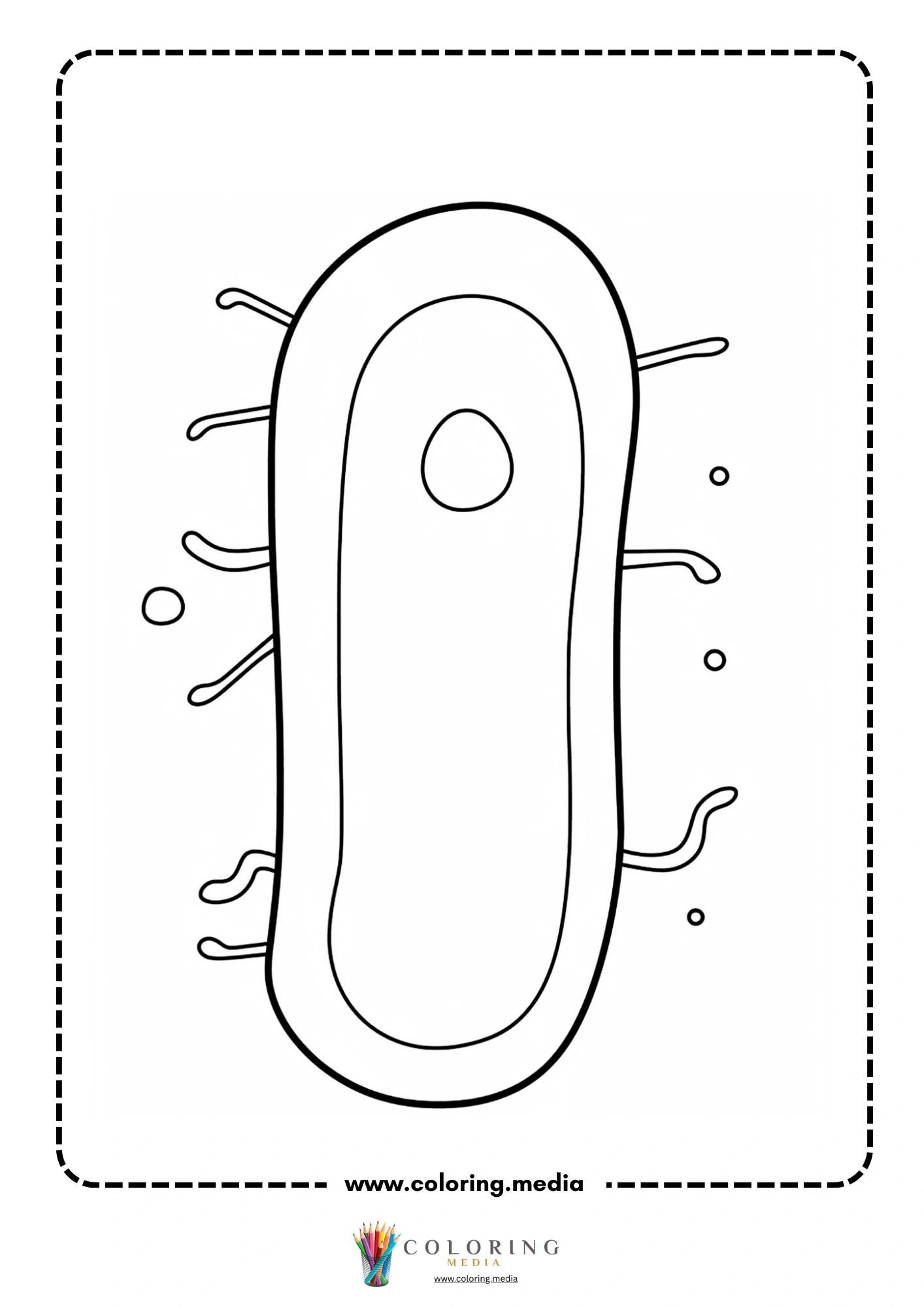 Cute virus and bacteria coloring page with rounded cell details