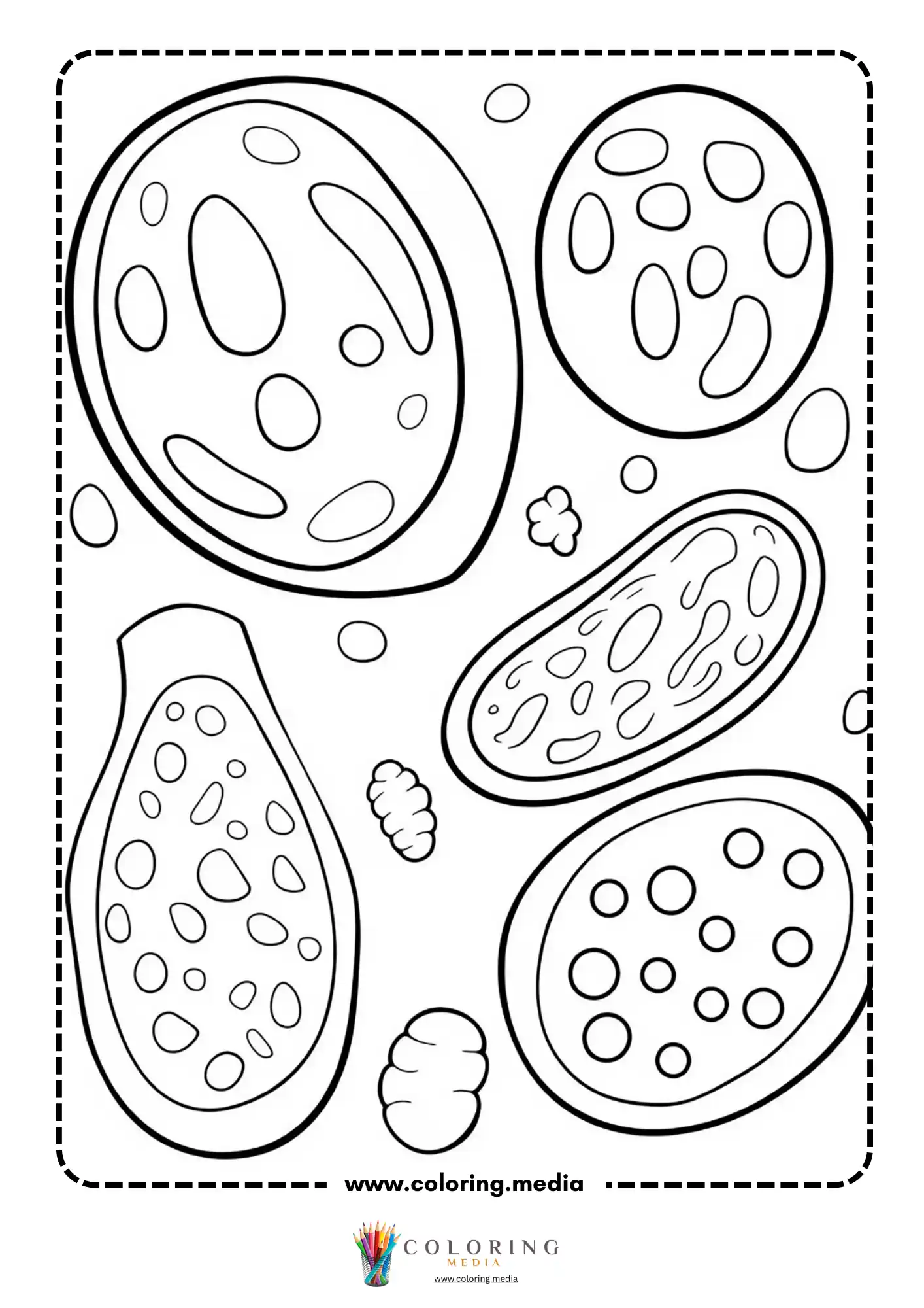 Cute virus and bacteria coloring page with rounded bacteria shapes