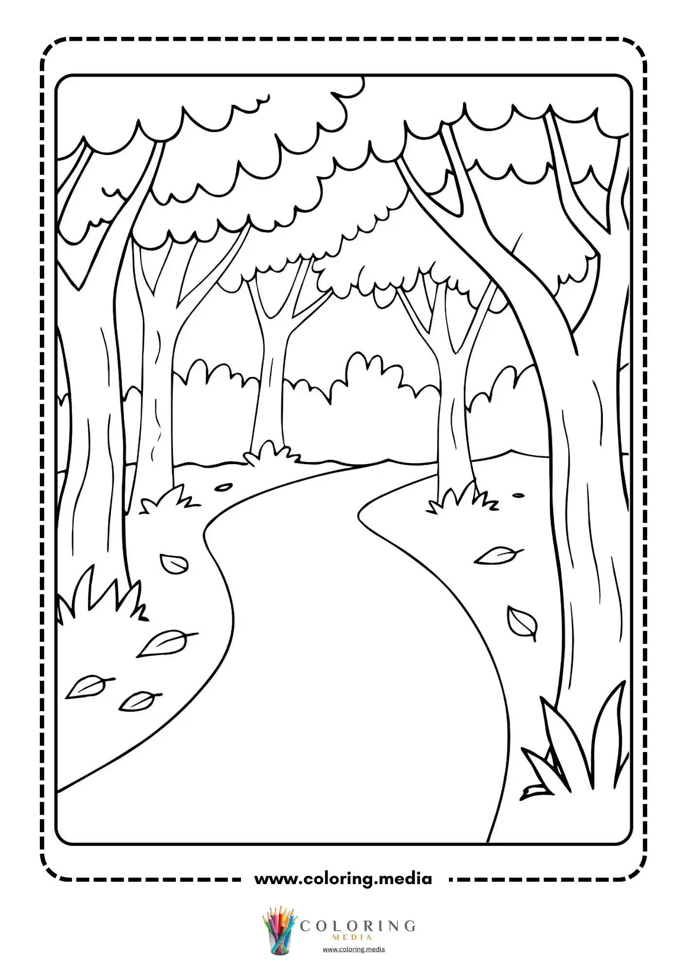 Forest path scene