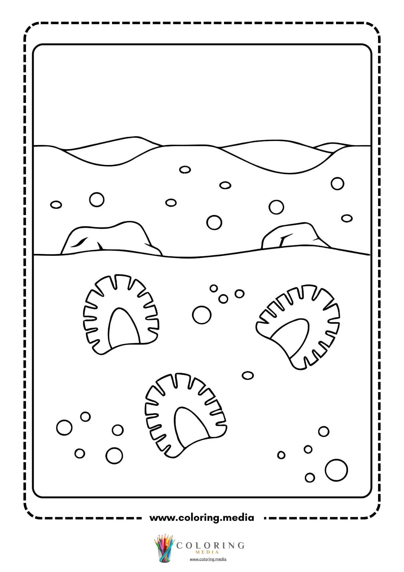 Fossils in the ground