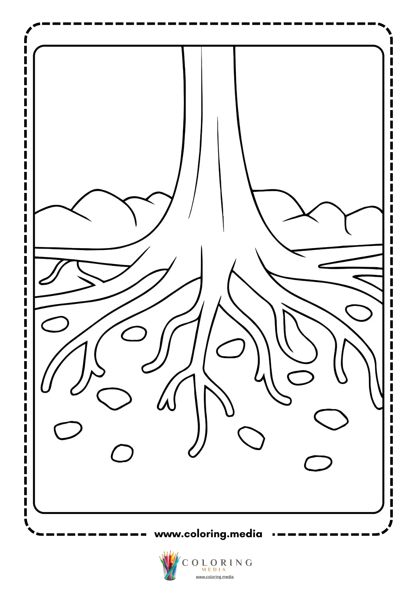 Tree roots underground