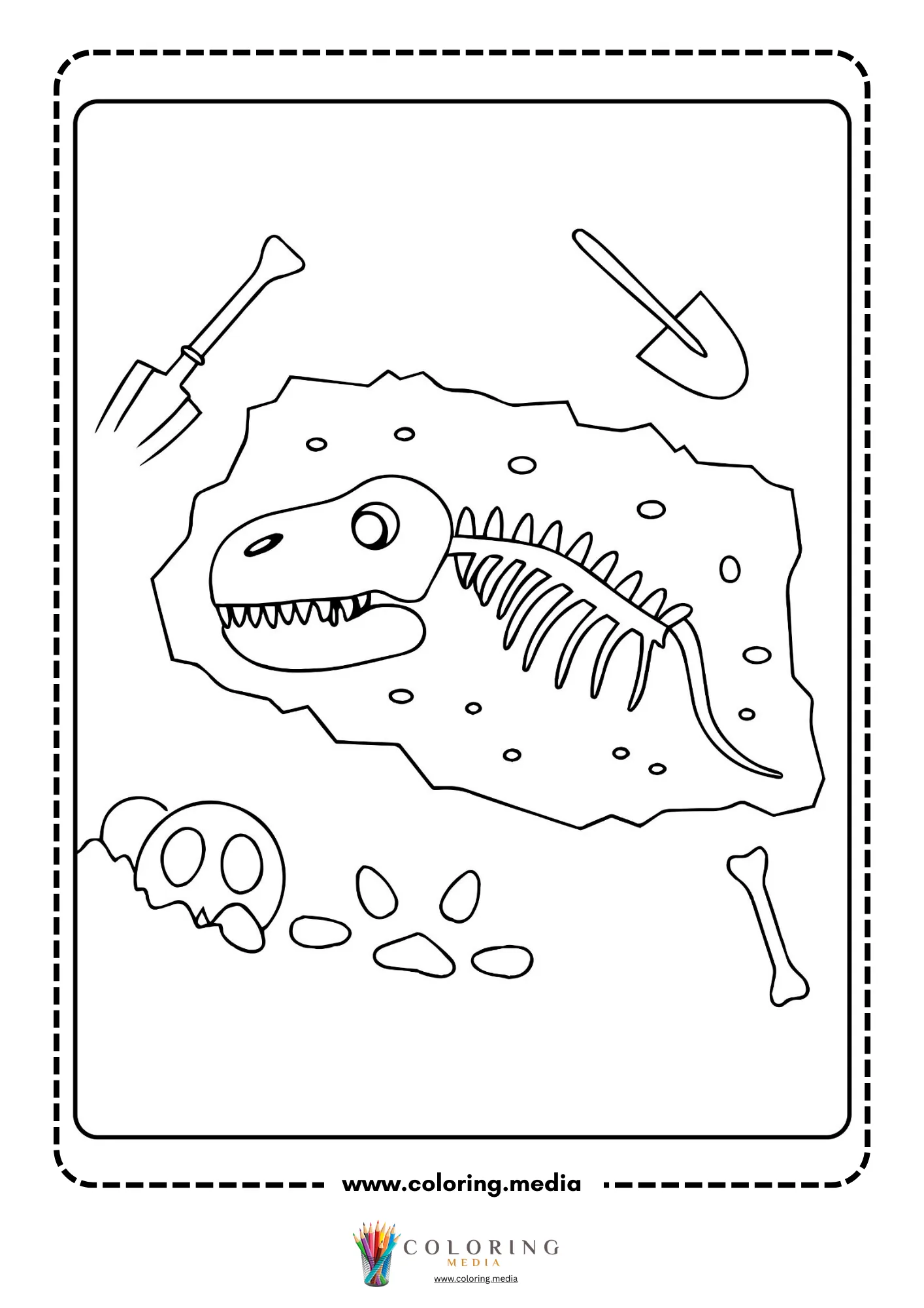 Dinosaur fossil dig