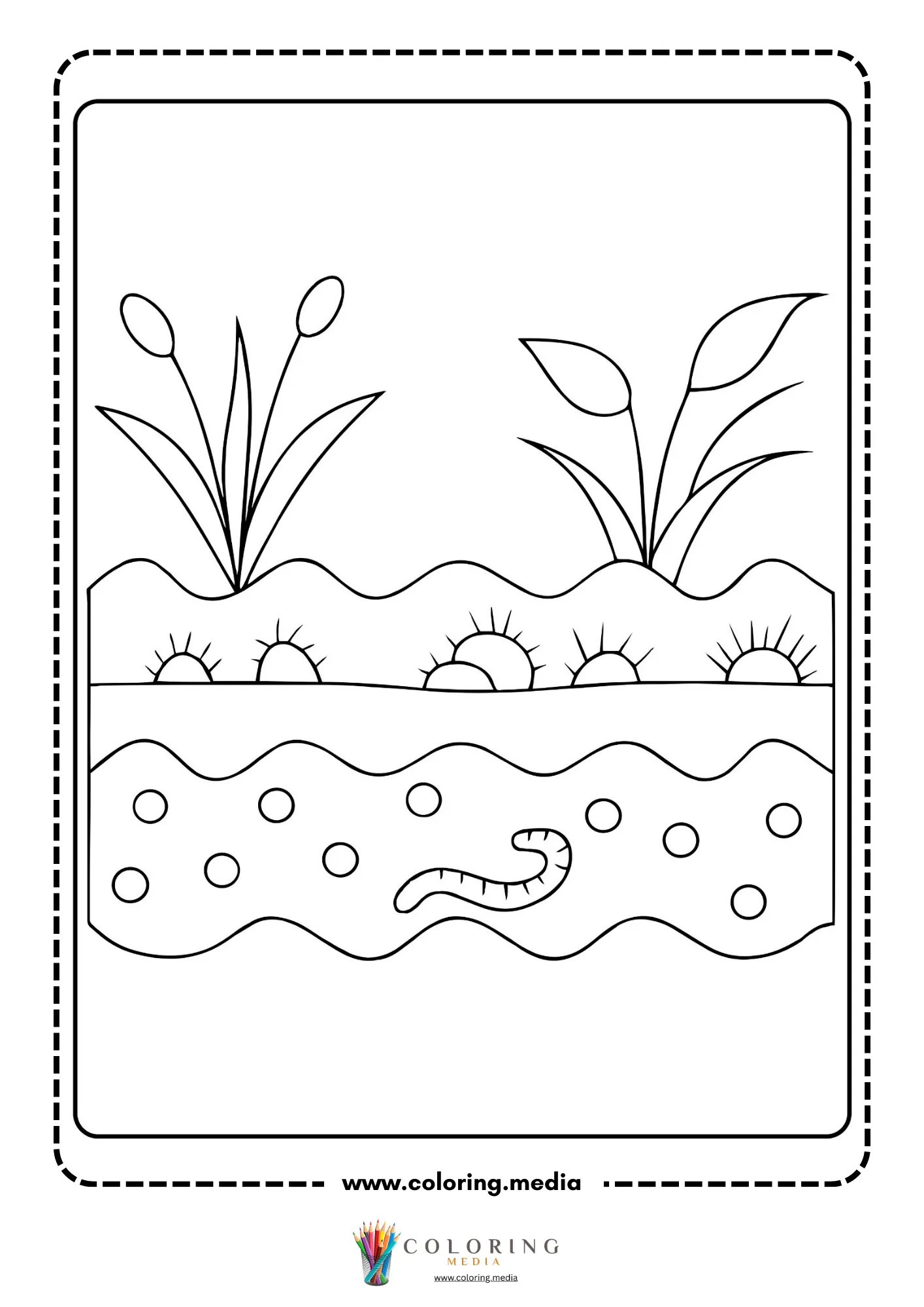 Soil layers with earthworm