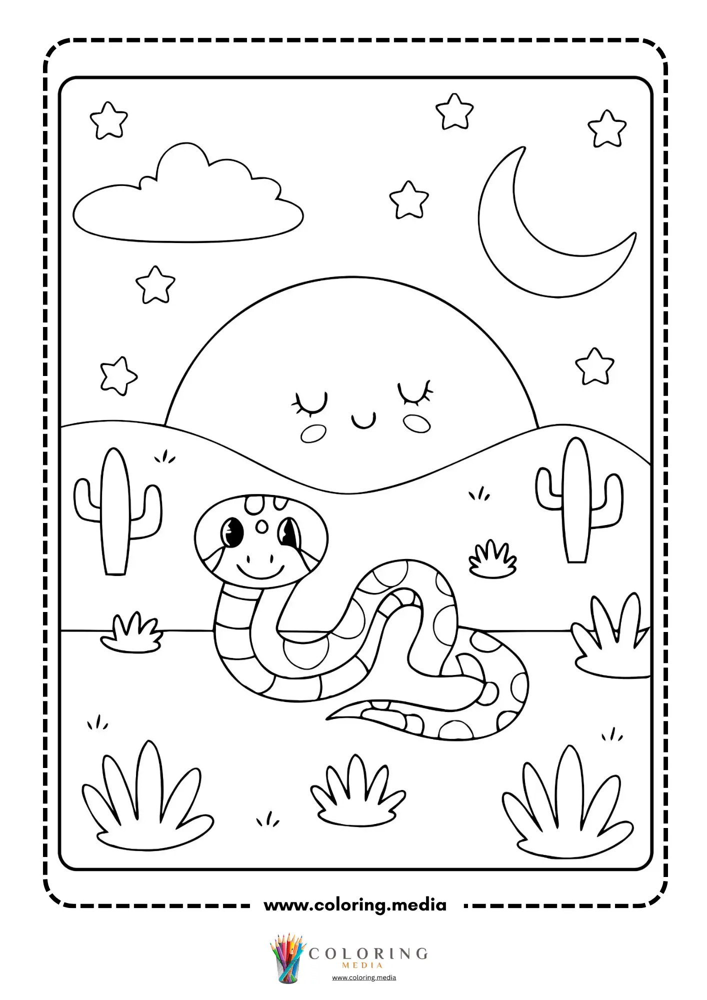 Desert snake at night